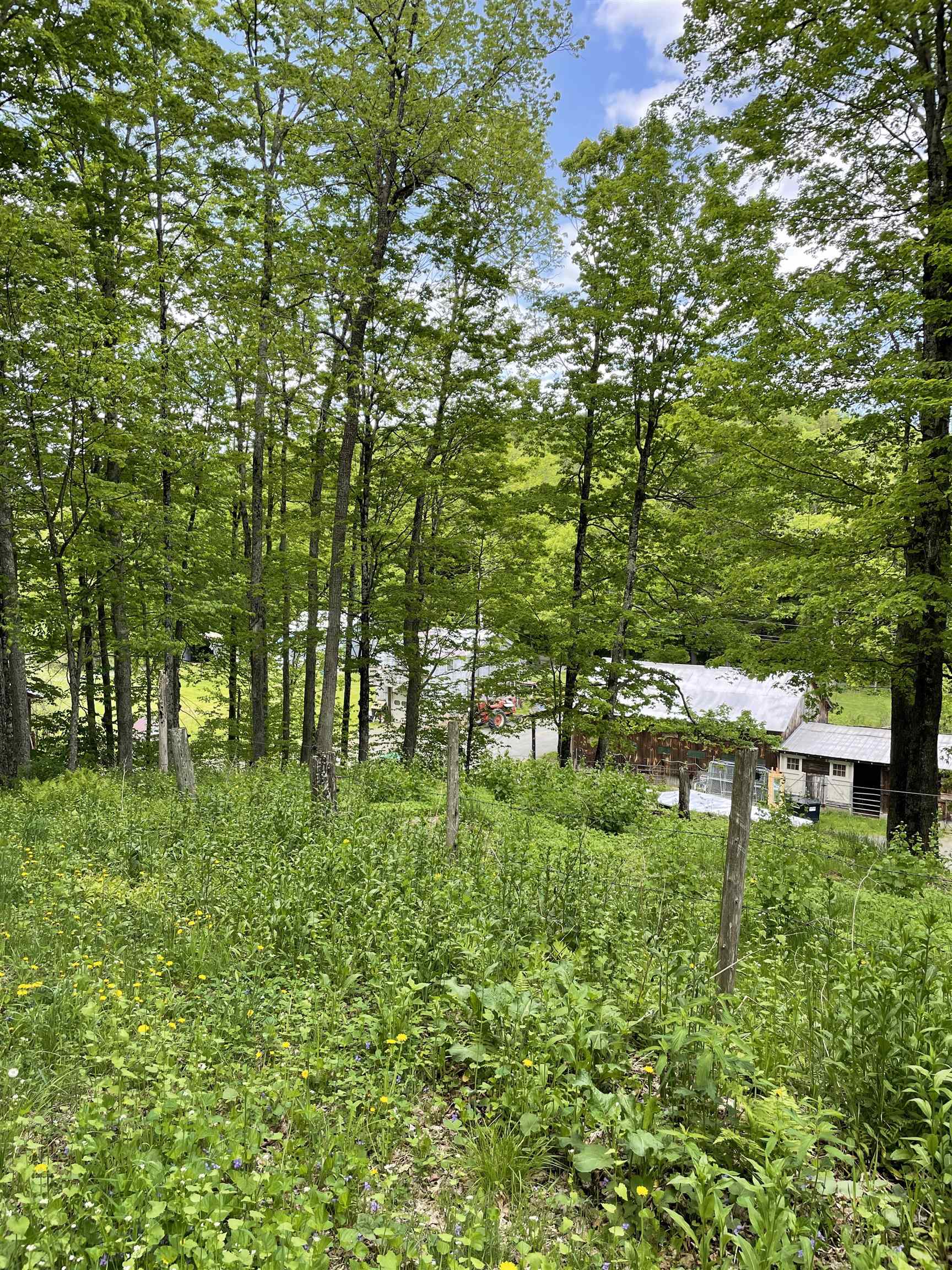 234 Randall Road Property Photo 14