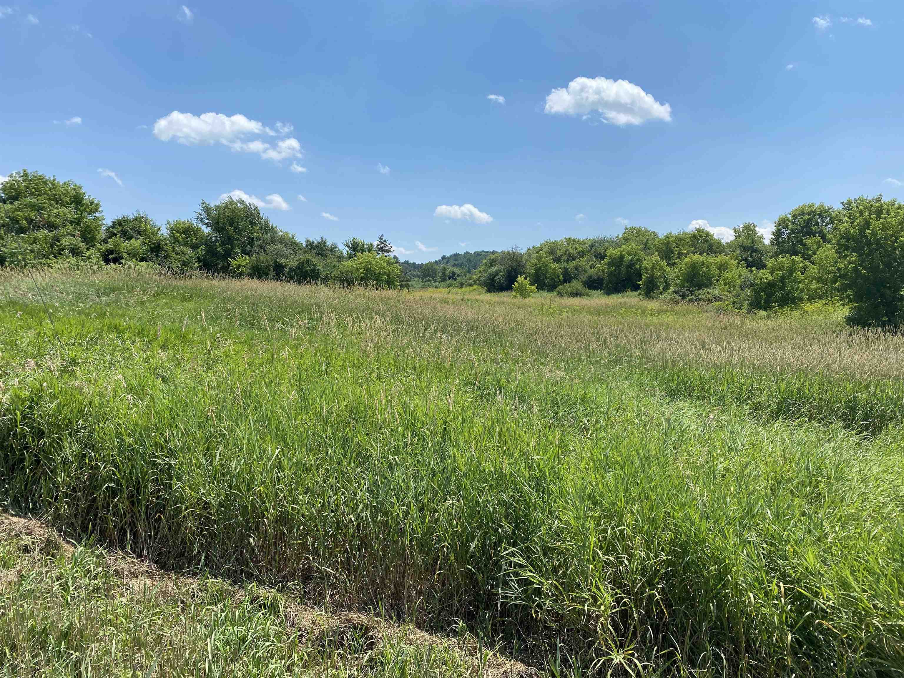 Tbd Barnum Hill Road Property Photo