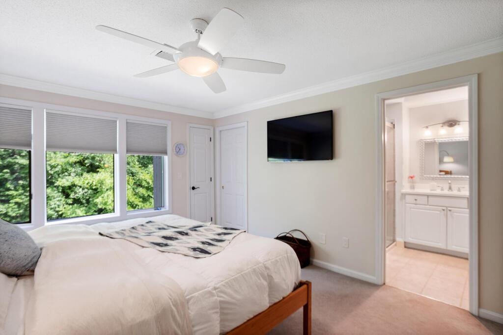 65 Victoria Street Property Photo 20