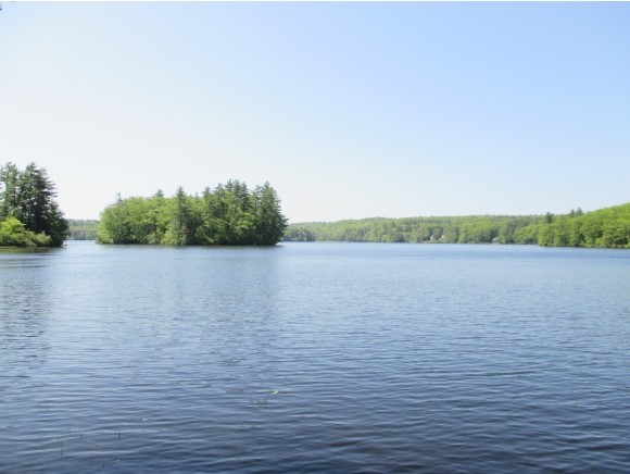 968 Forest Road Property Photo