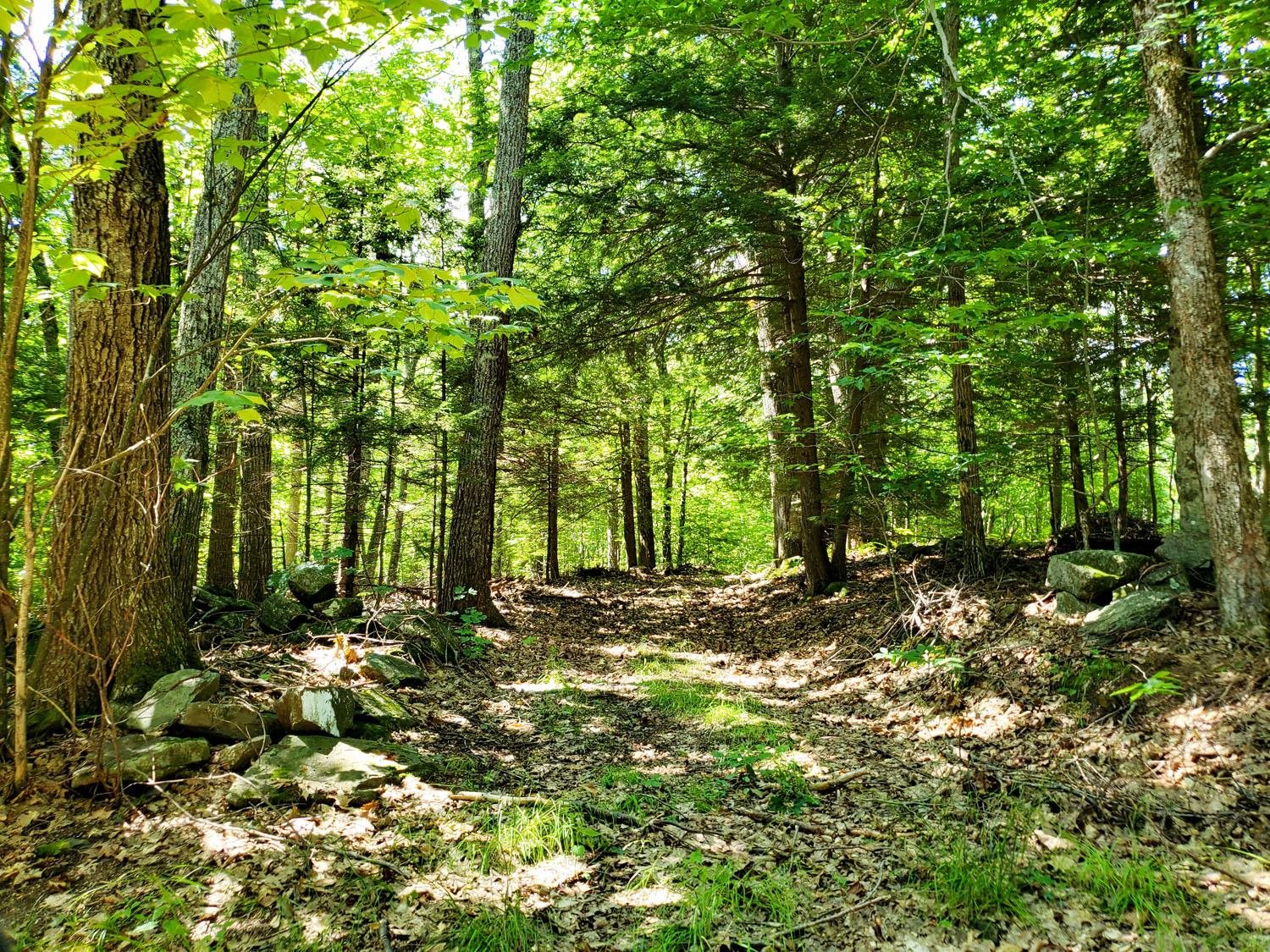 Snow Hill Road Property Photo