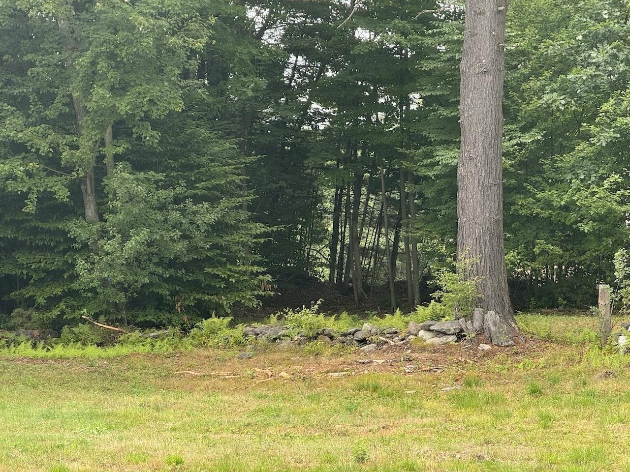 Stow Drive Property Photo 2