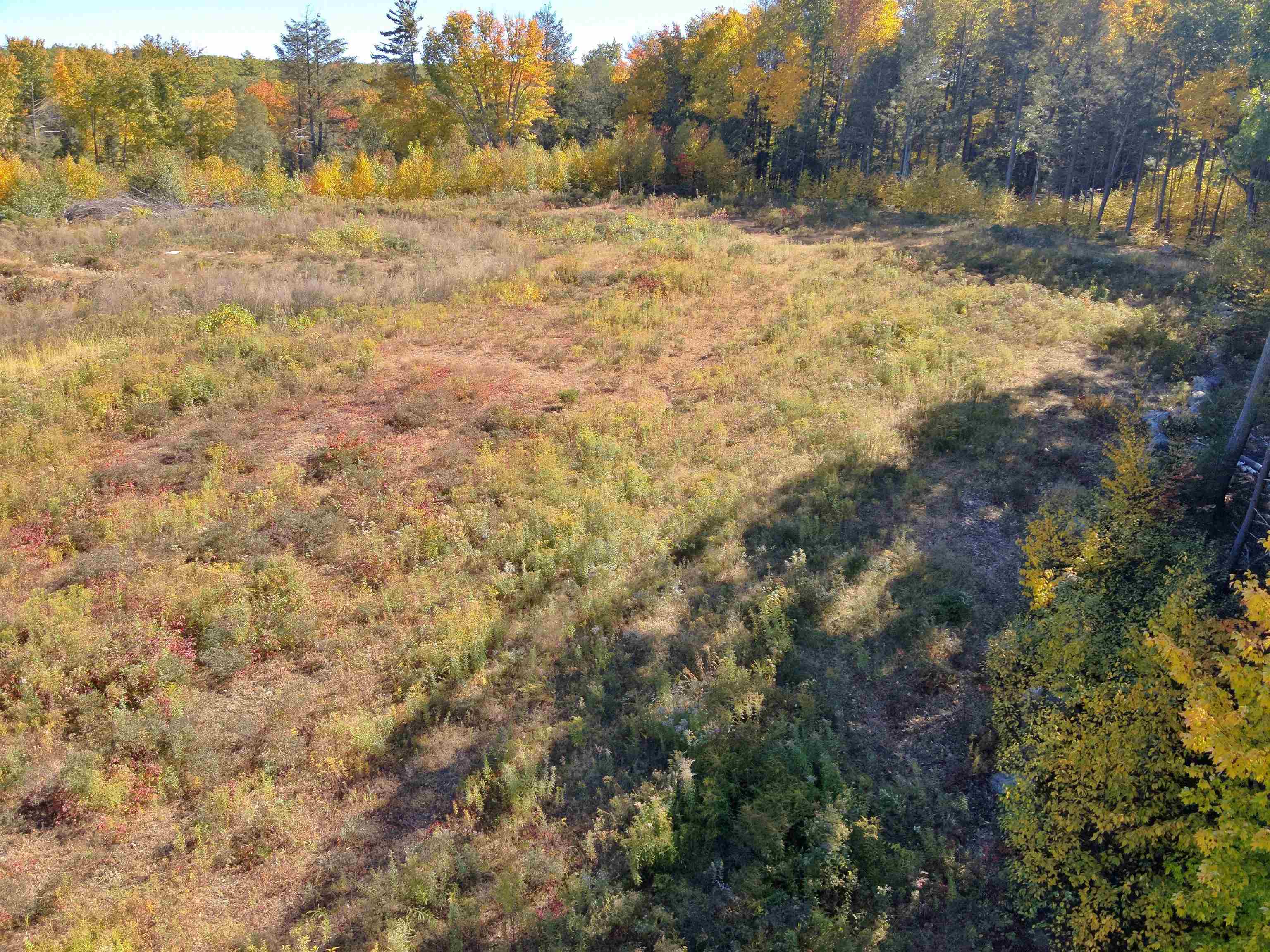000 Fort Dummer Heights Property Photo 6