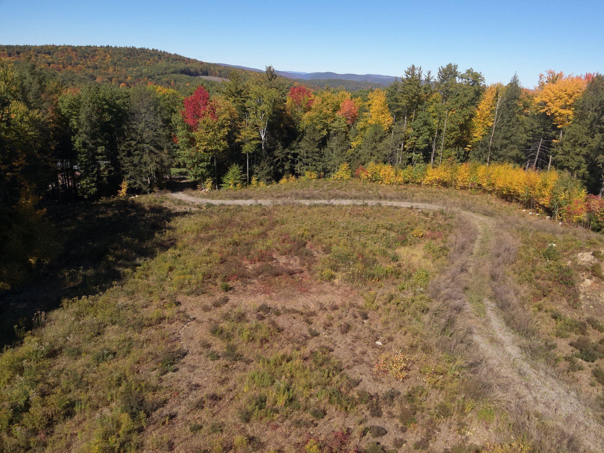 000 Fort Dummer Heights Property Photo 7