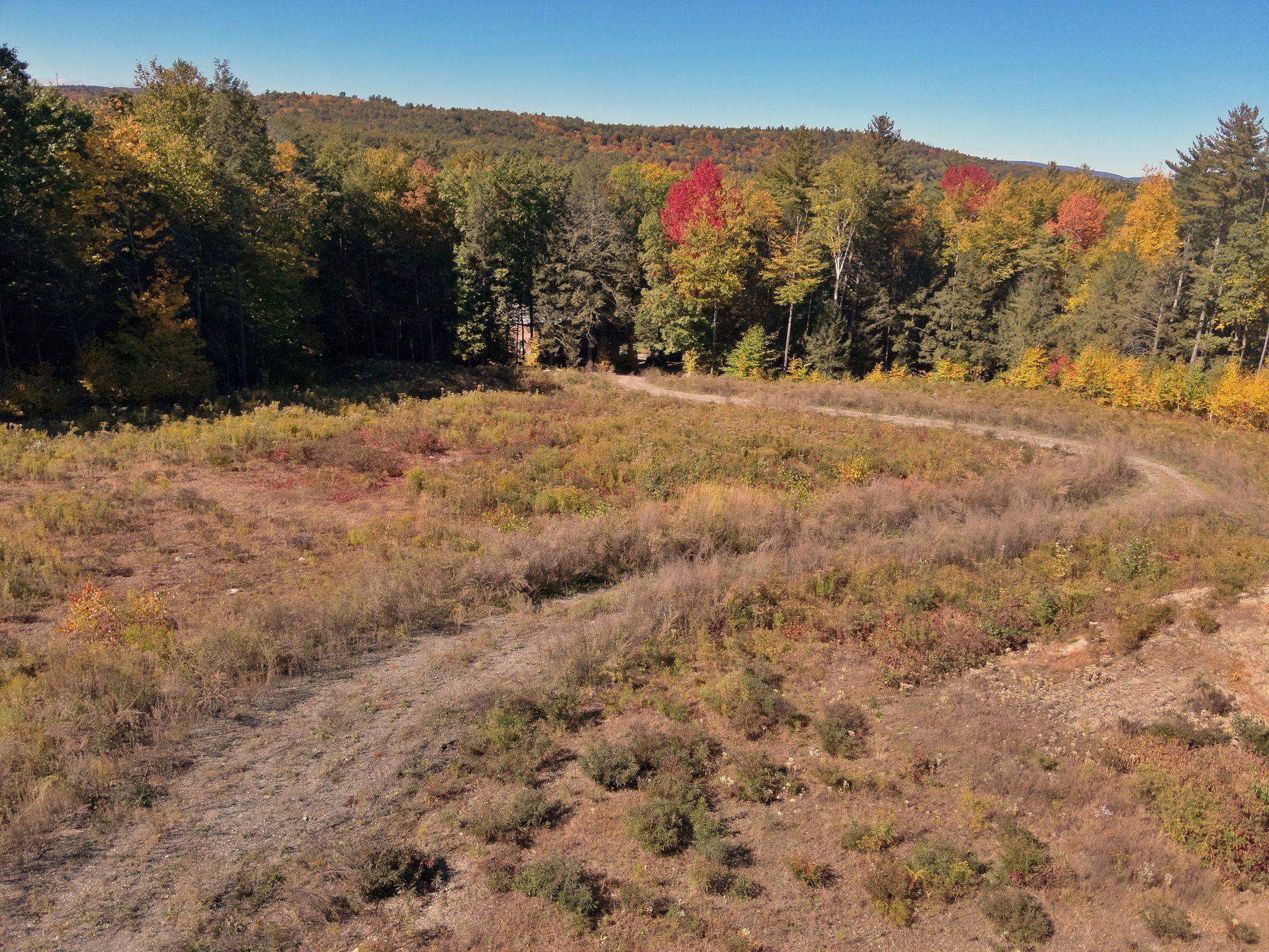 000 Fort Dummer Heights Property Photo 8