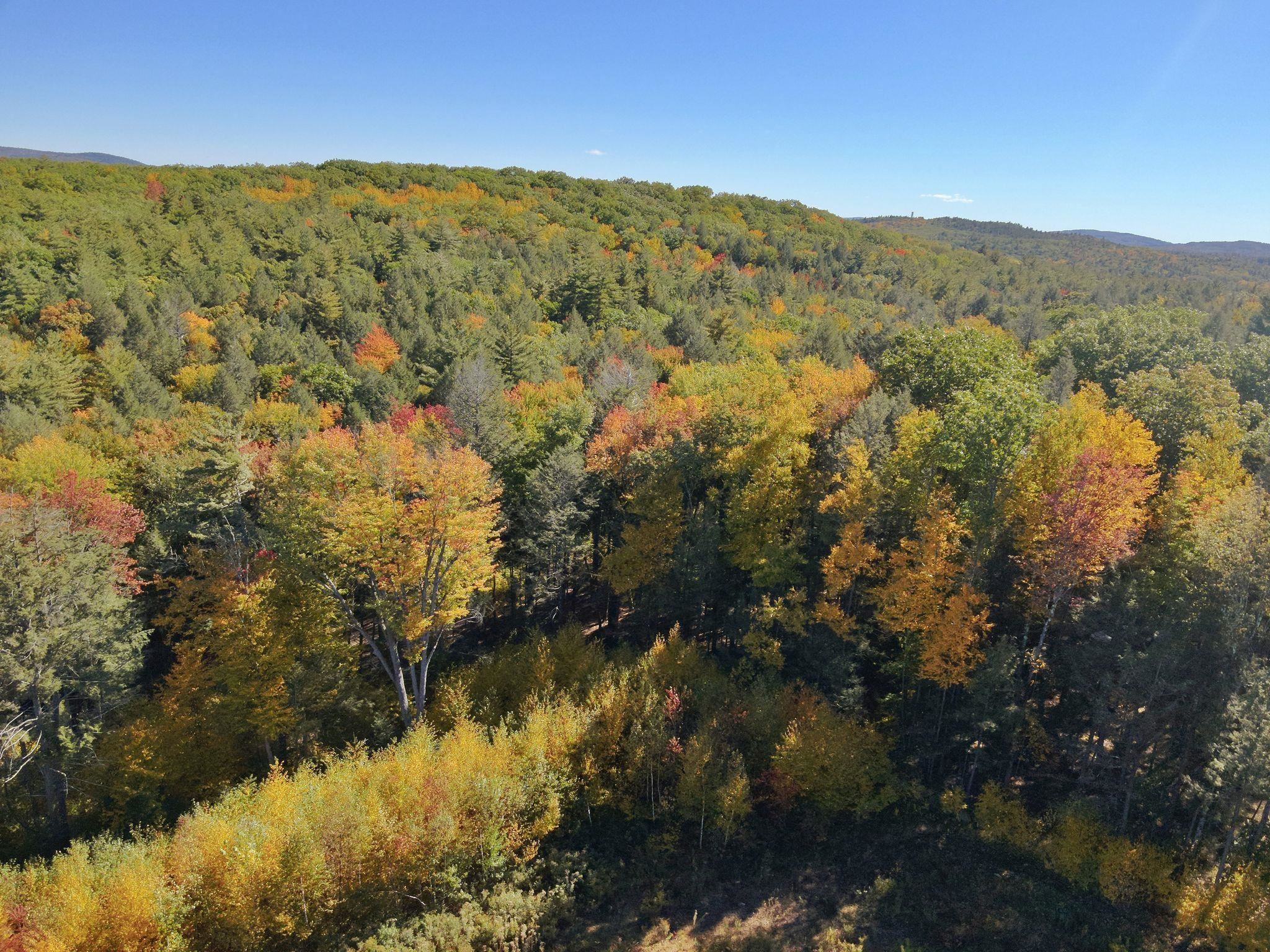 000 Fort Dummer Heights Property Photo 9