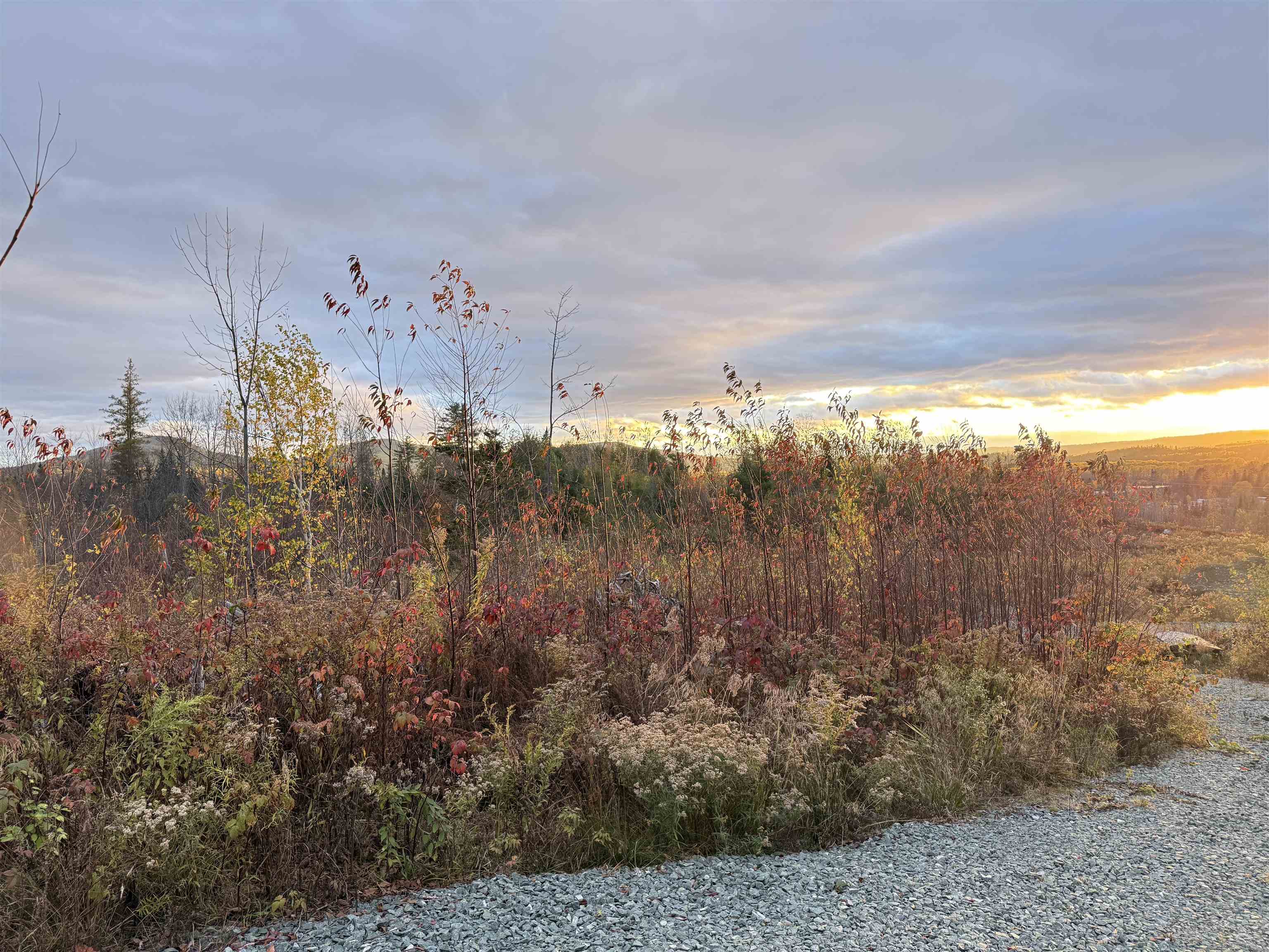 Lot 12 Page Hill Road Property Photo 7