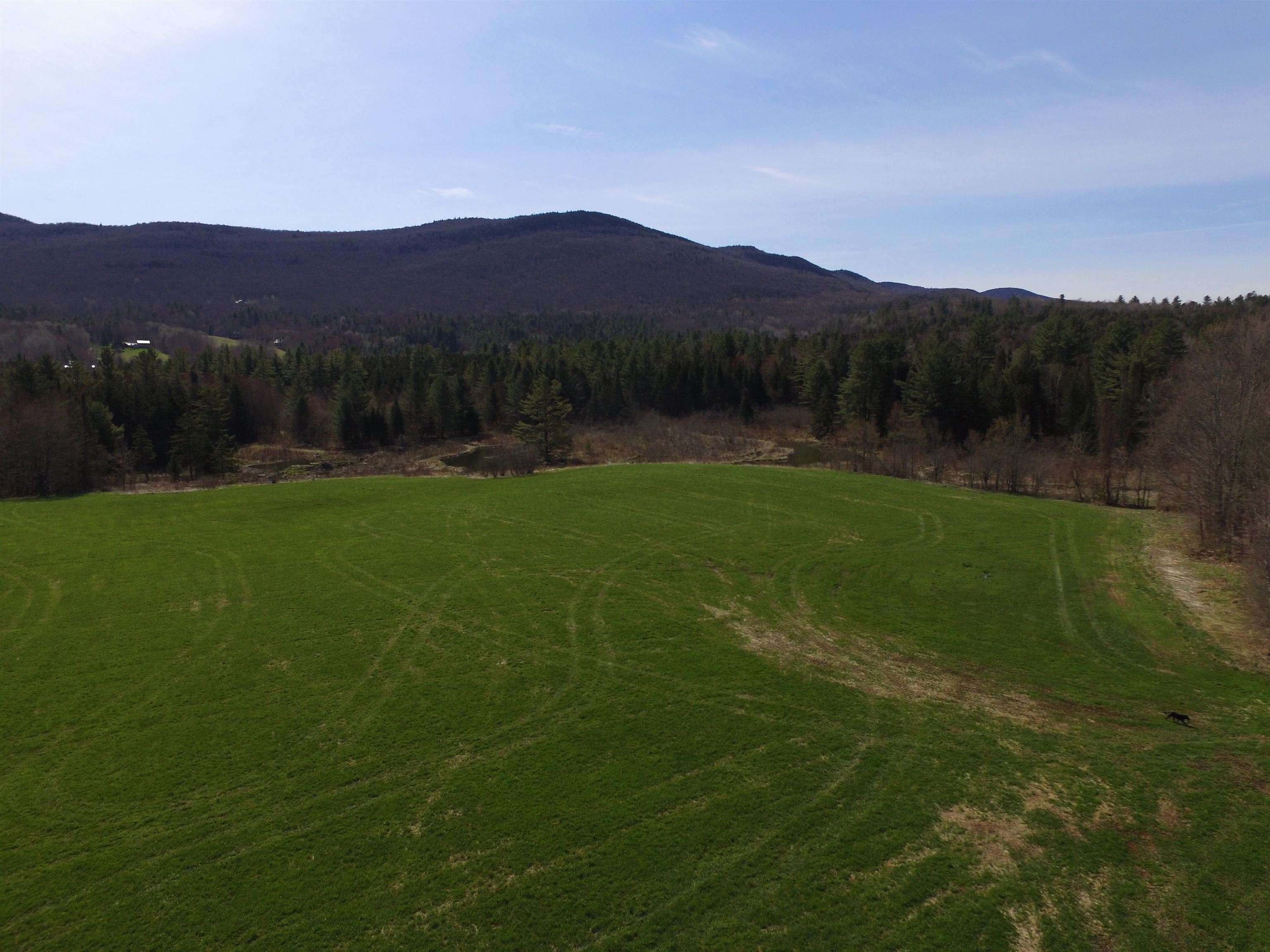 813 Plunkton Road Property Photo 19