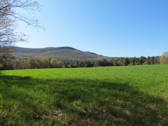 813 Plunkton Road Property Photo 36