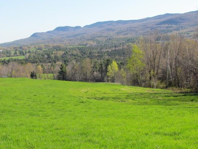 813 Plunkton Road Property Photo 40