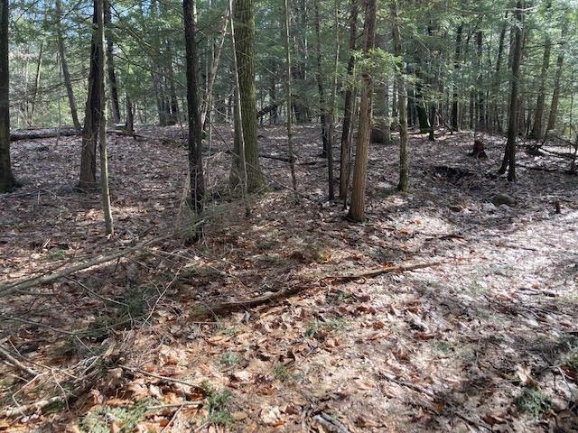 0 Back Canaan Road Property Photo 5