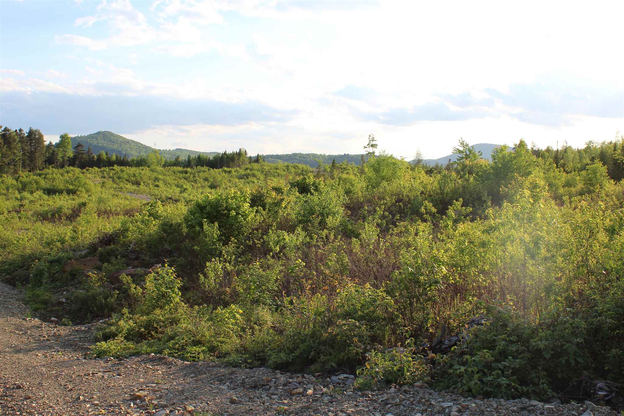 0 Town Line Road Property Photo 10