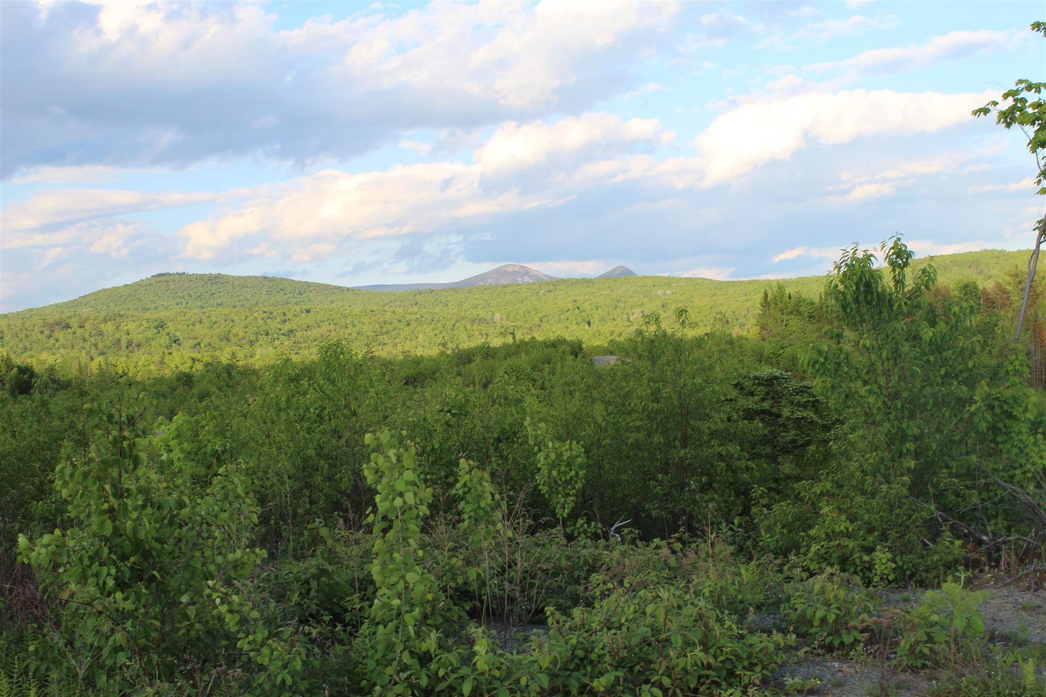 0 Town Line Road Property Photo 14