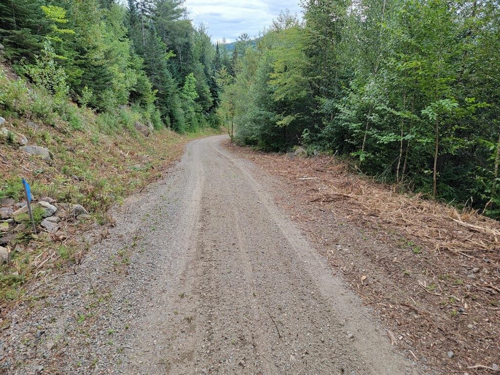 0 Town Line Road Property Photo 27