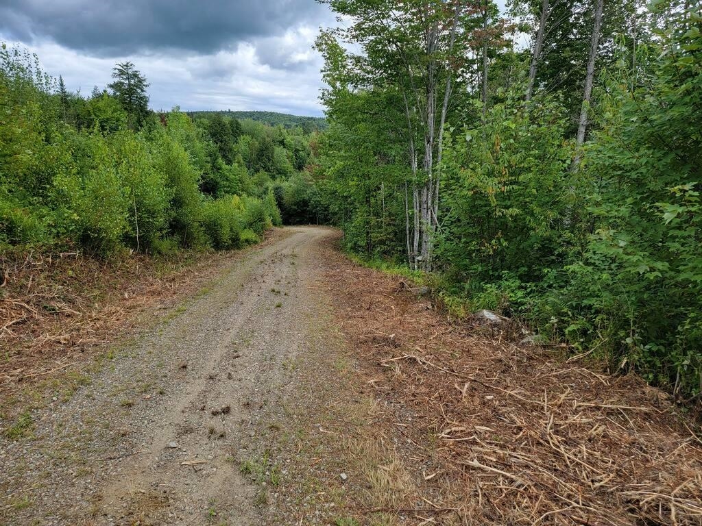 0 Town Line Road Property Photo 28