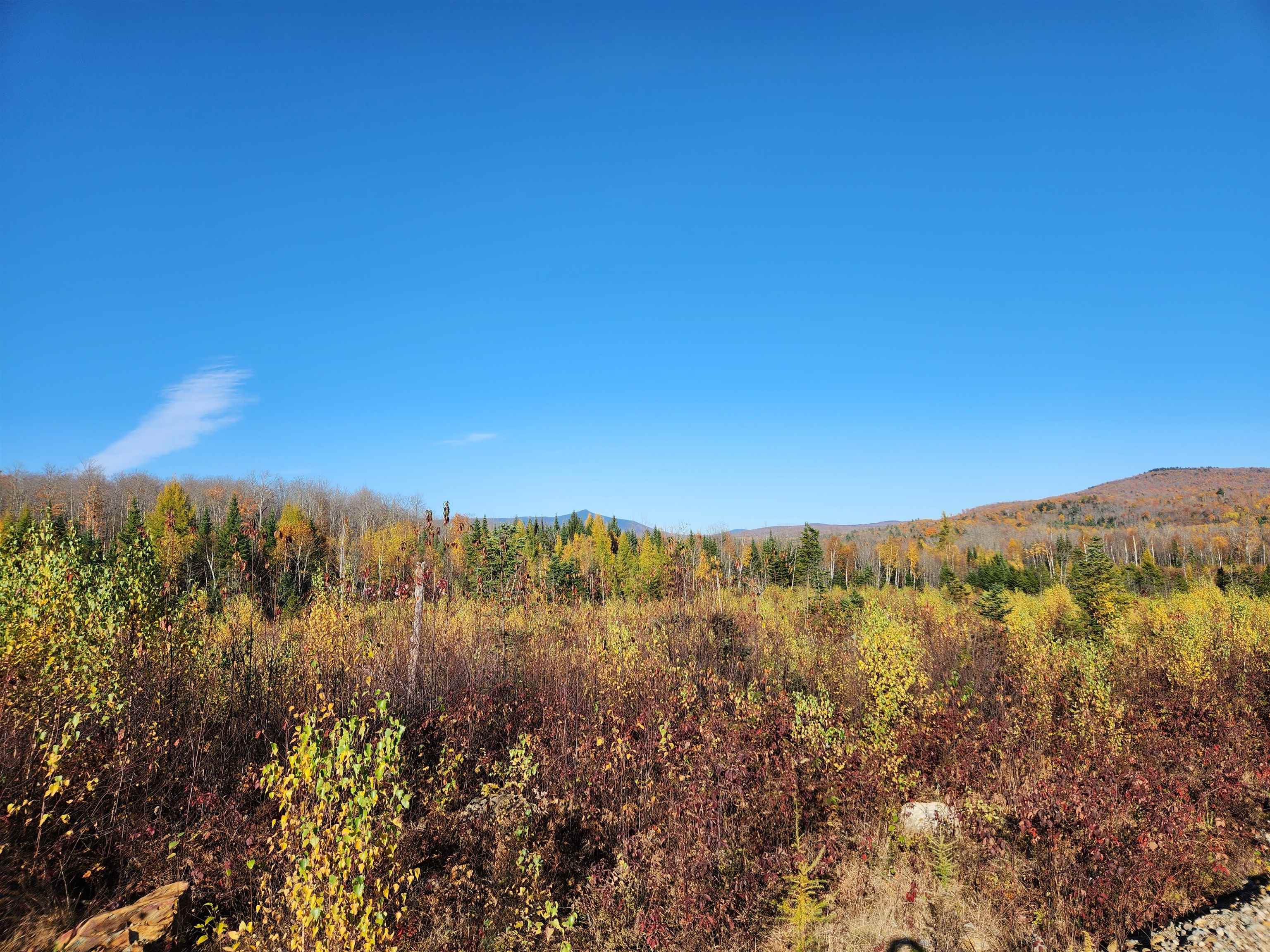 0 Town Line Road Property Photo 36