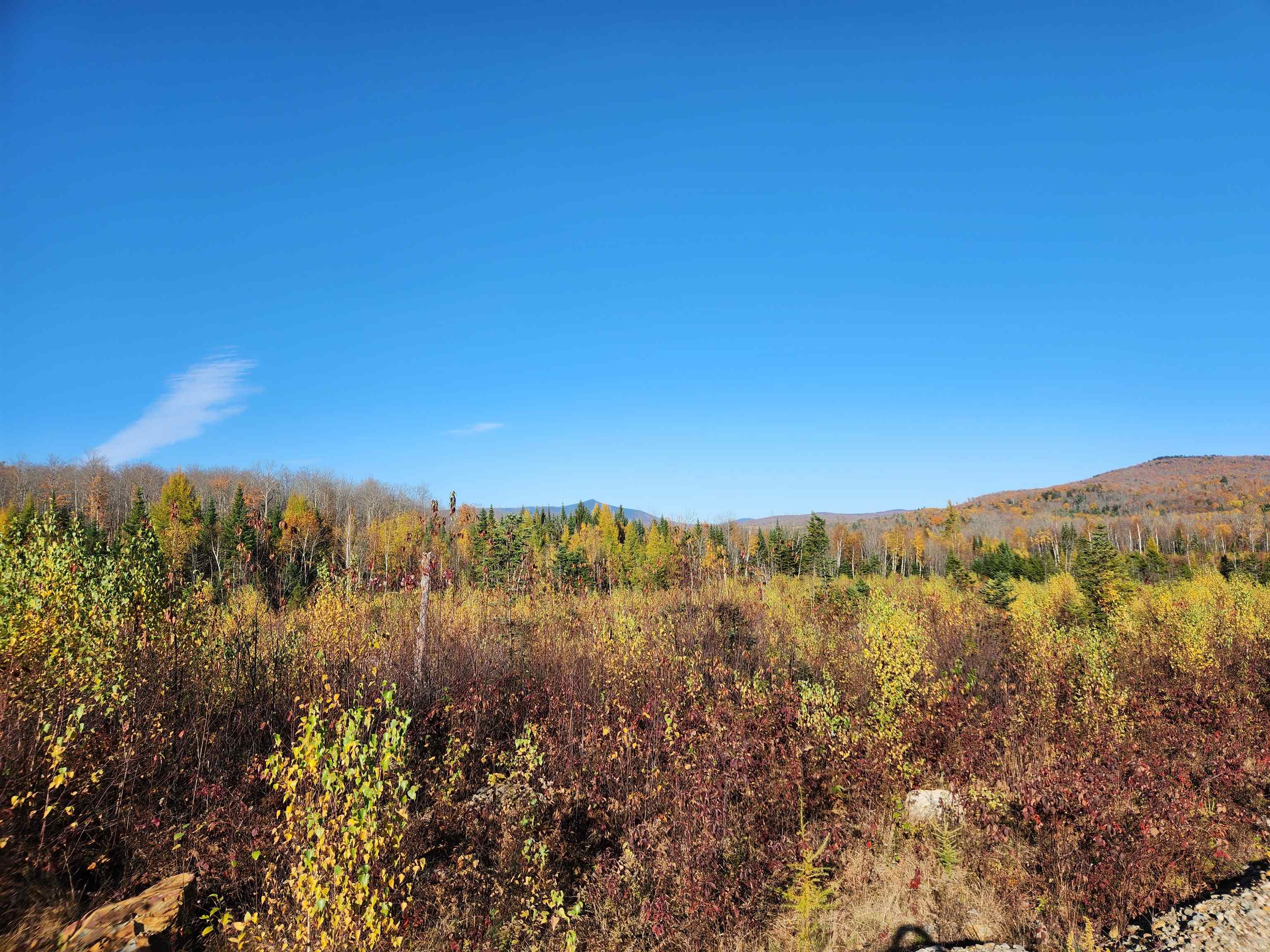 0 Town Line Road Property Photo 37