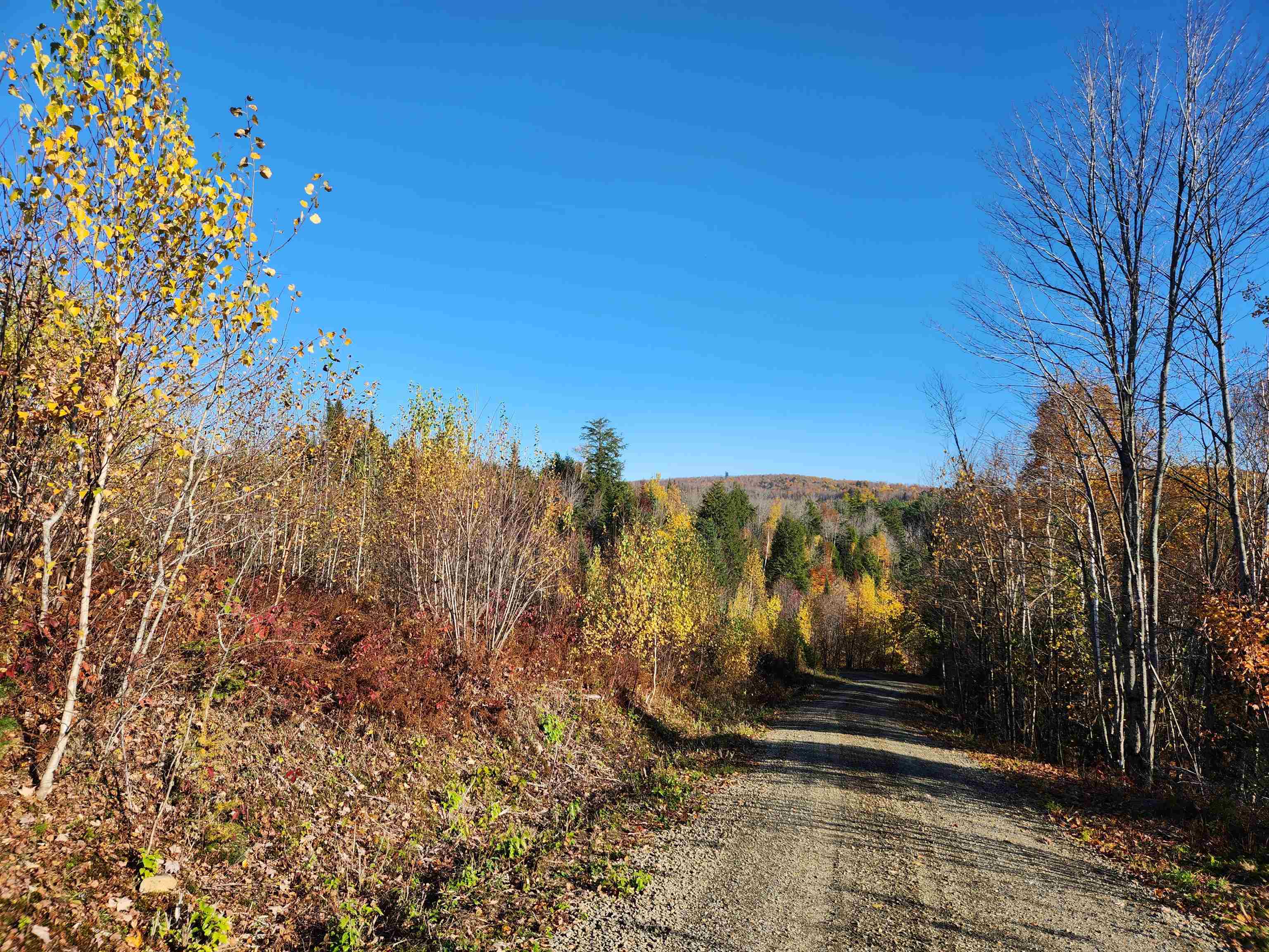 0 Town Line Road Property Photo 39