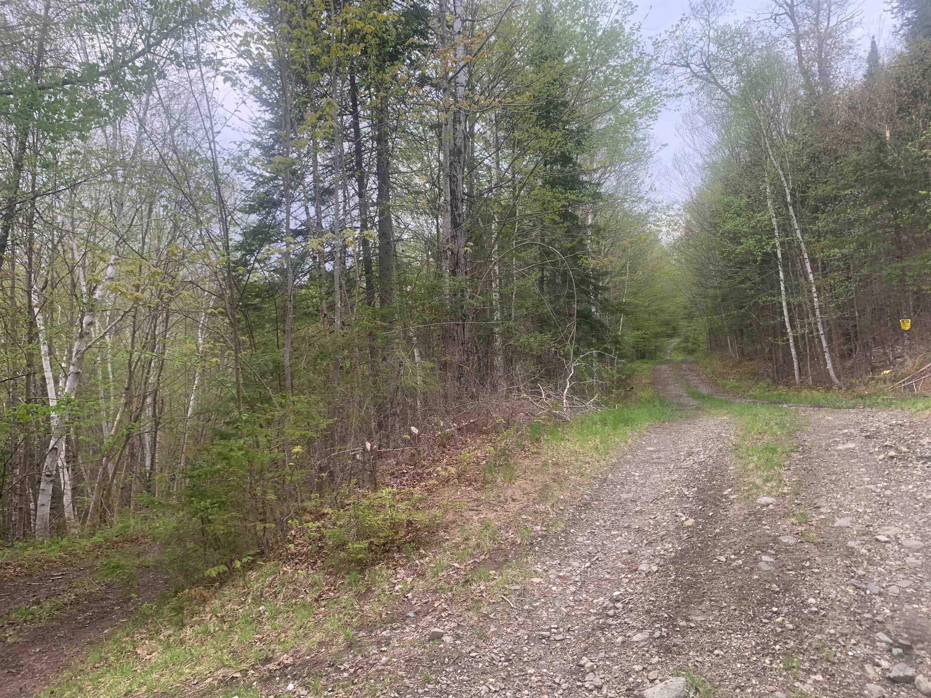 0 Bacon Road Property Photo 1