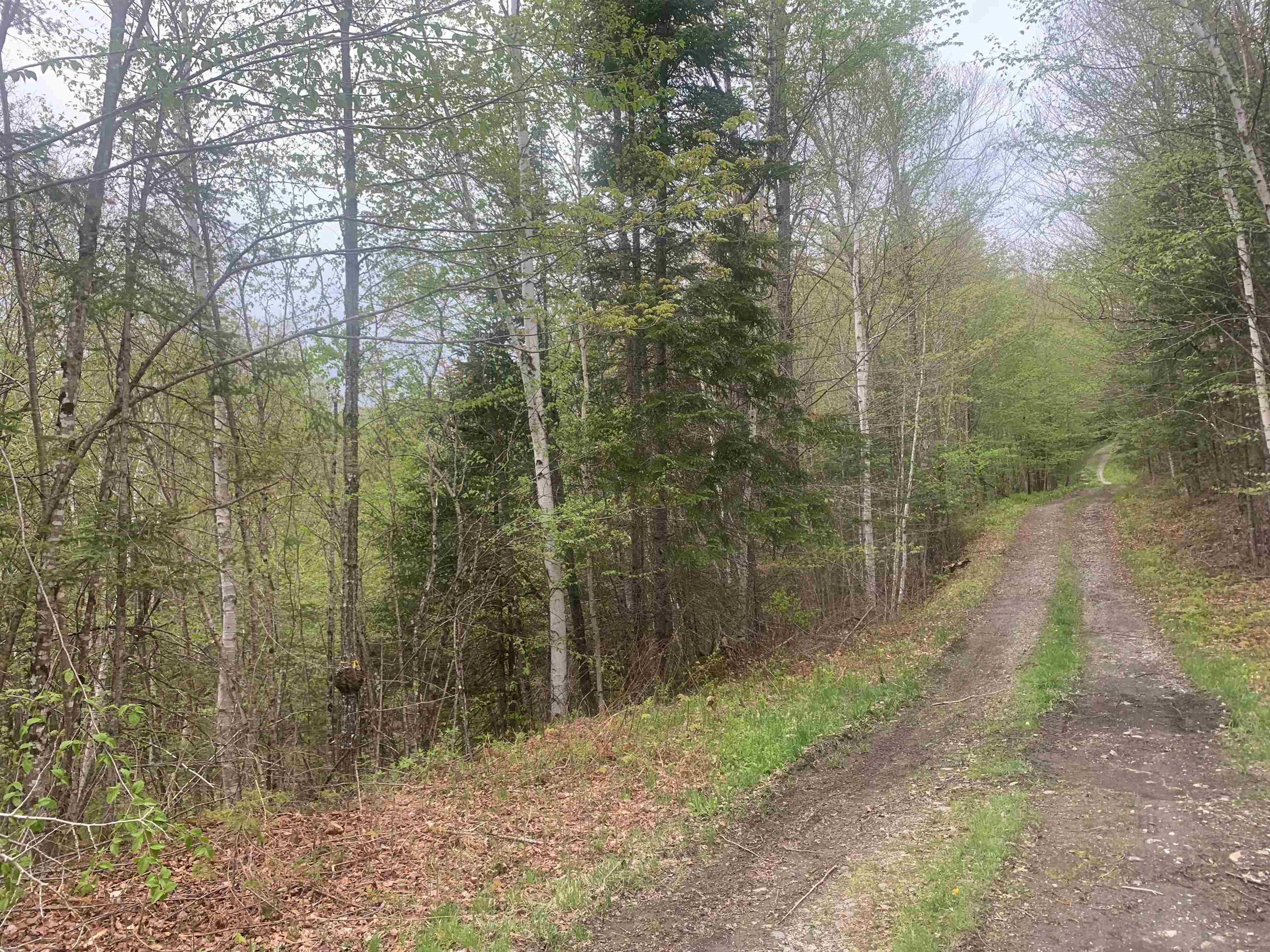 0 Bacon Road Property Photo 2