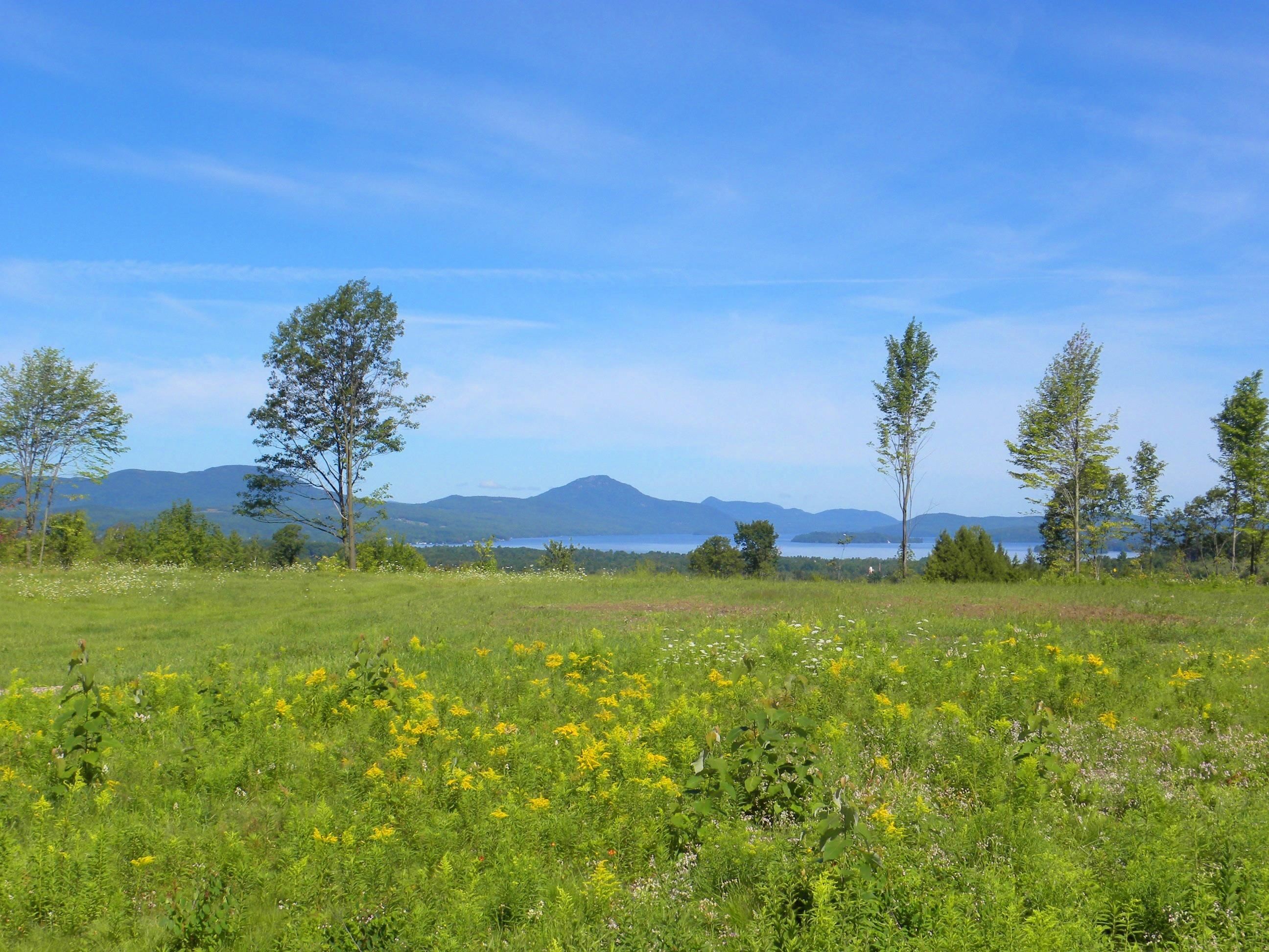 - Pine Hill Road Property Photo 3