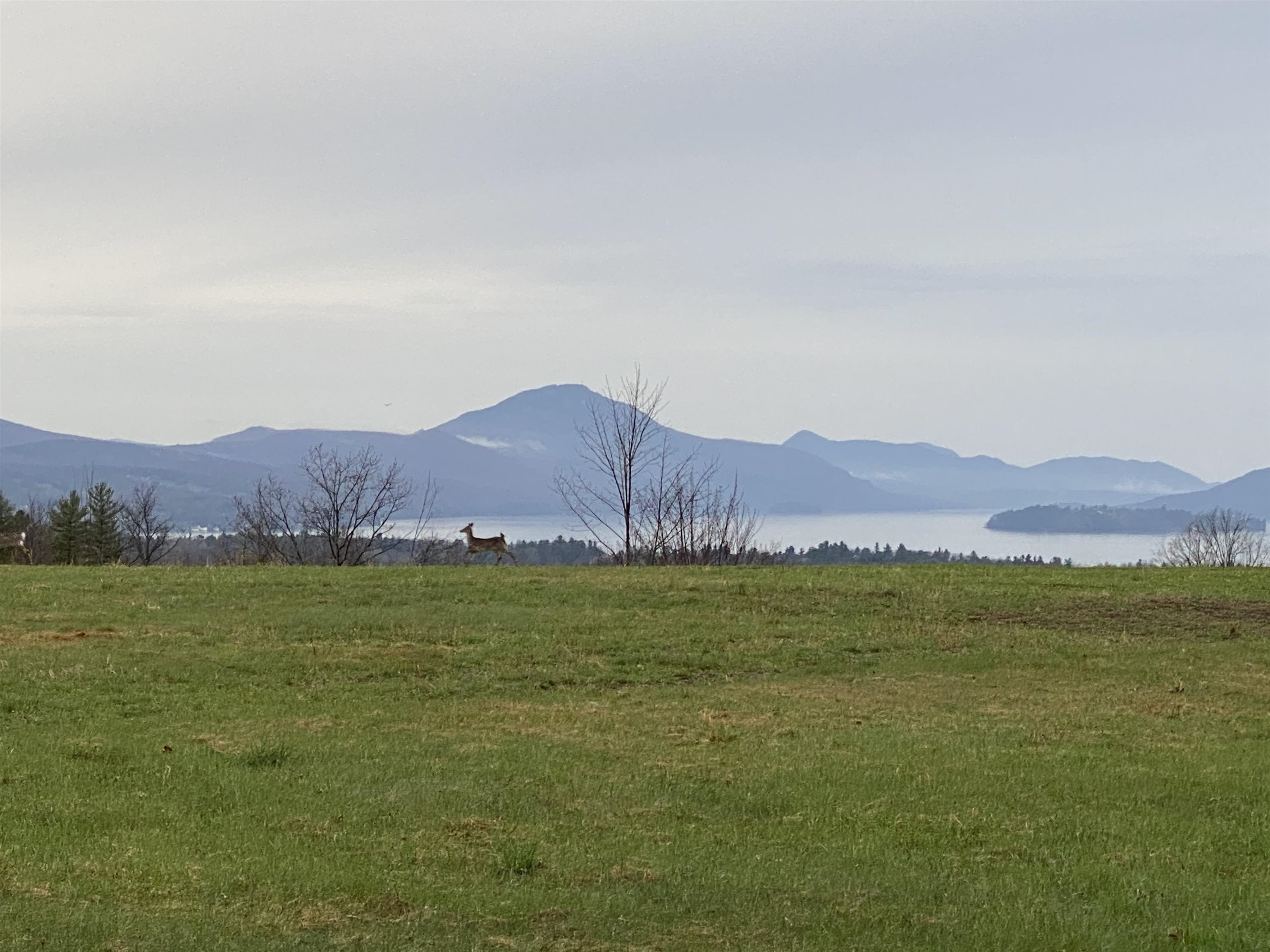 - Pine Hill Road Property Photo 7