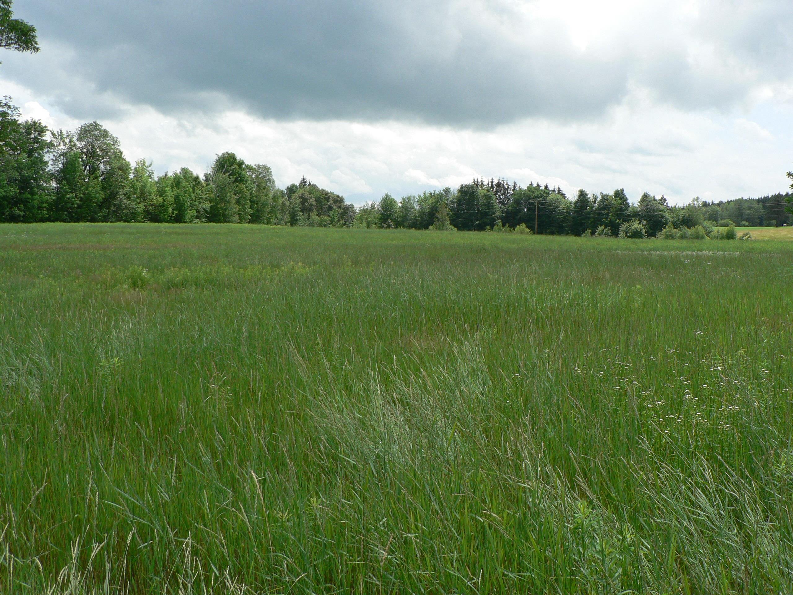 - Pine Hill Road Property Photo 16
