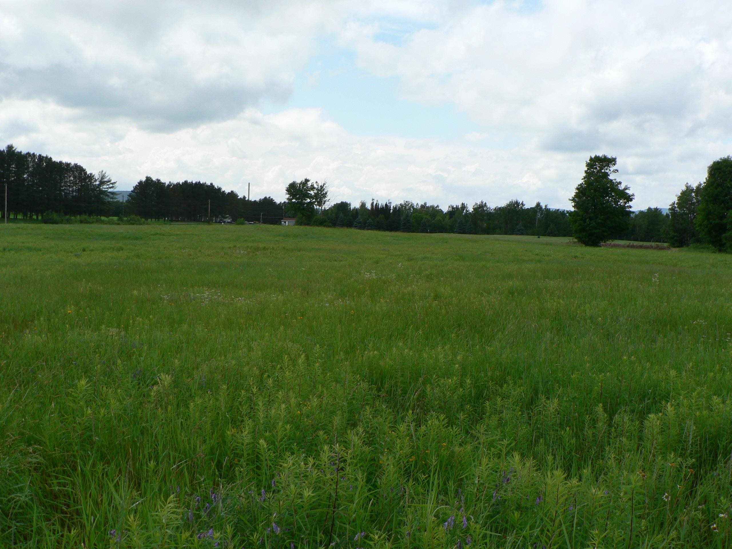 - Pine Hill Road Property Photo 17