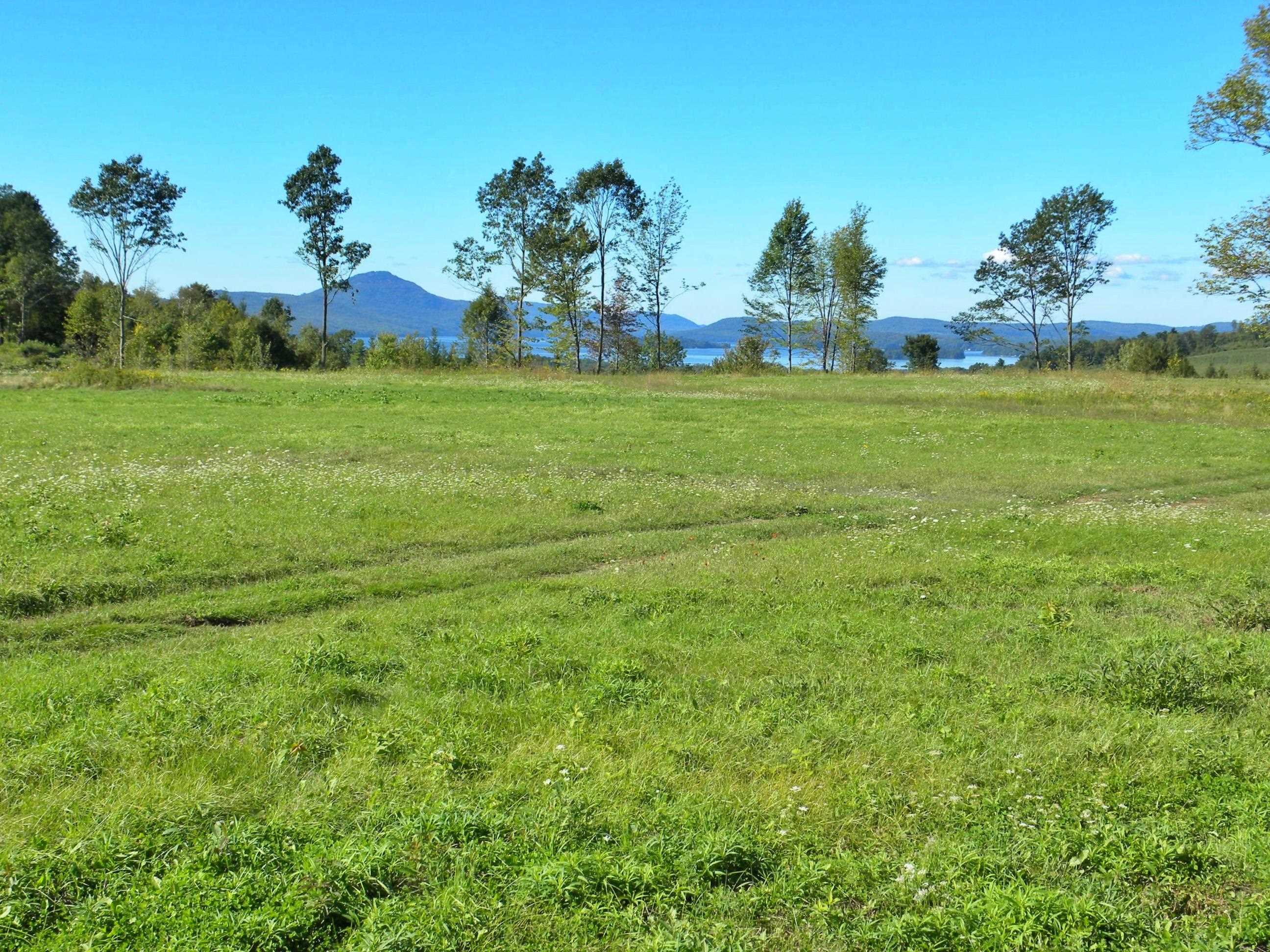- Pine Hill Road Property Photo 22