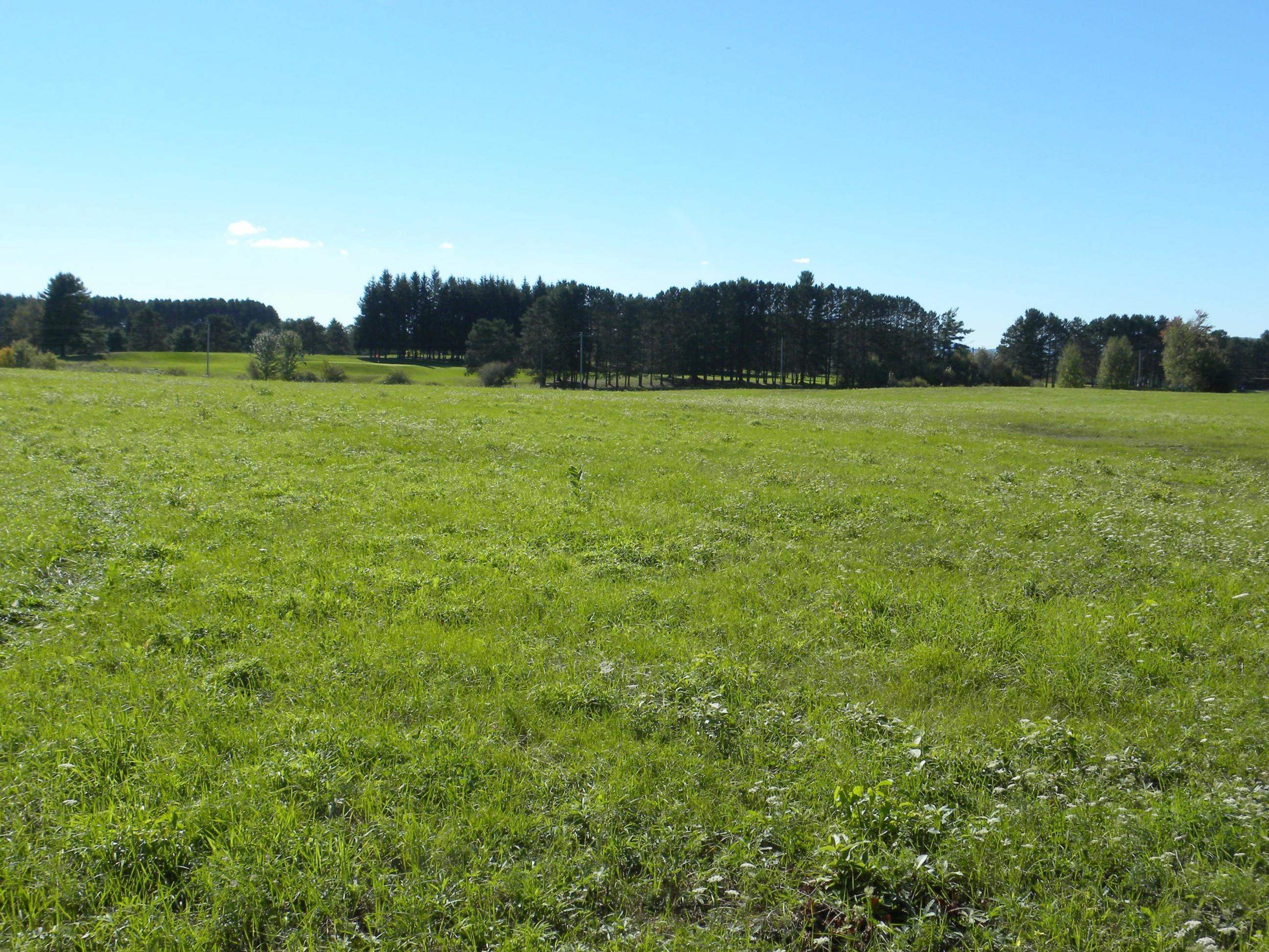 - Pine Hill Road Property Photo 23