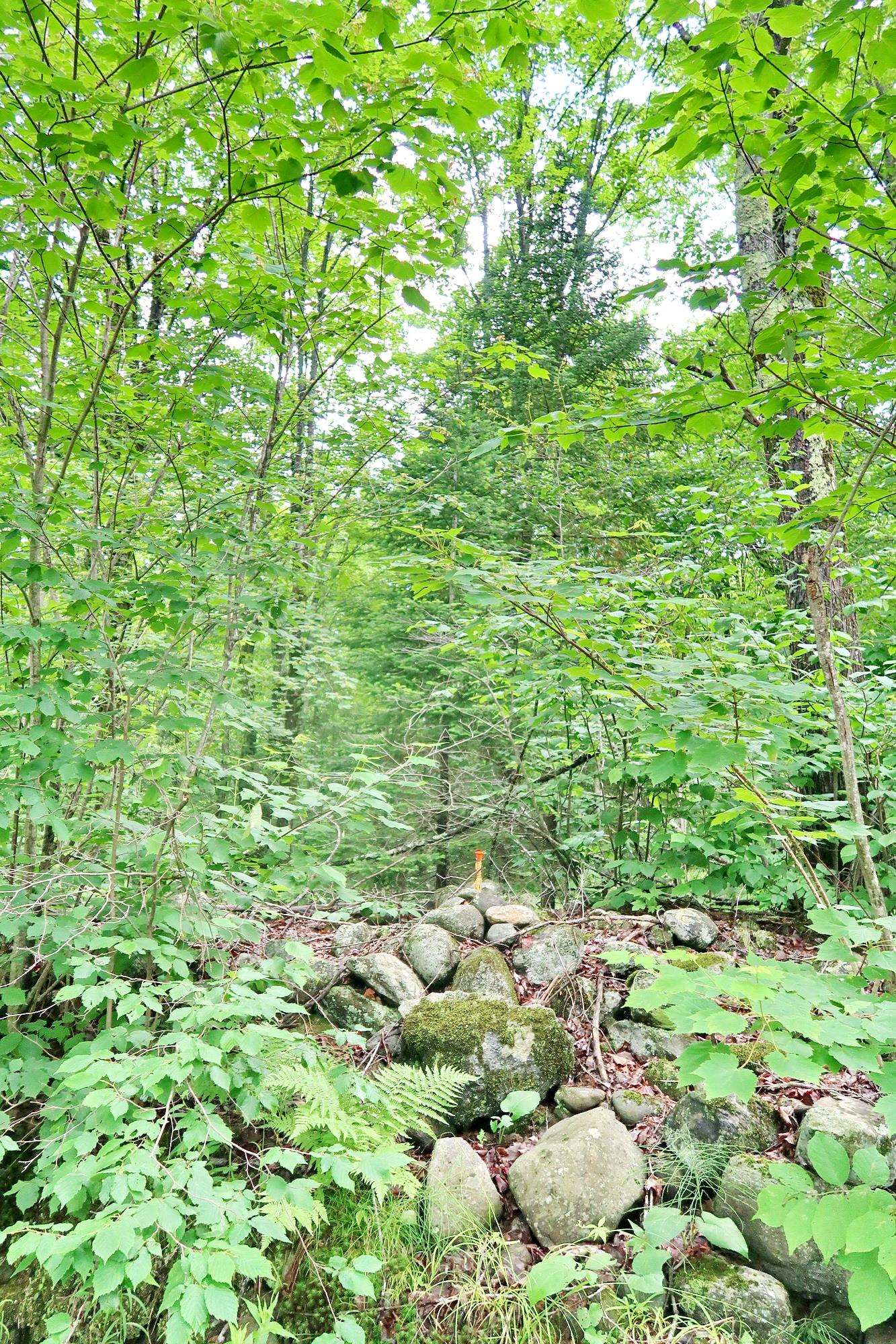 Tbd Easton Road Property Photo 4