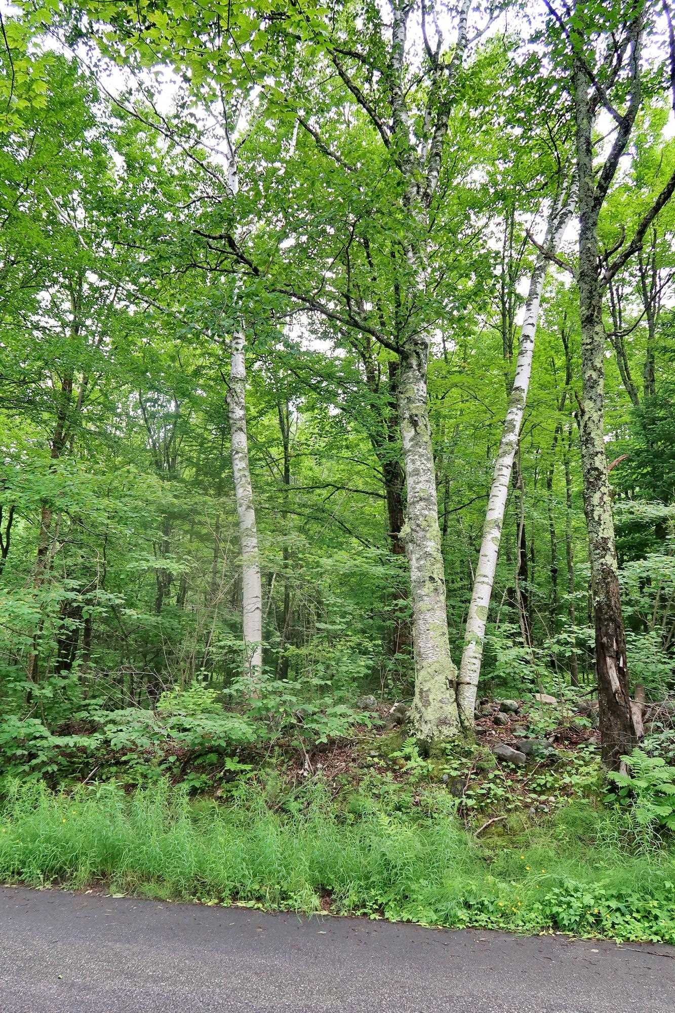 Tbd Easton Road Property Photo 8