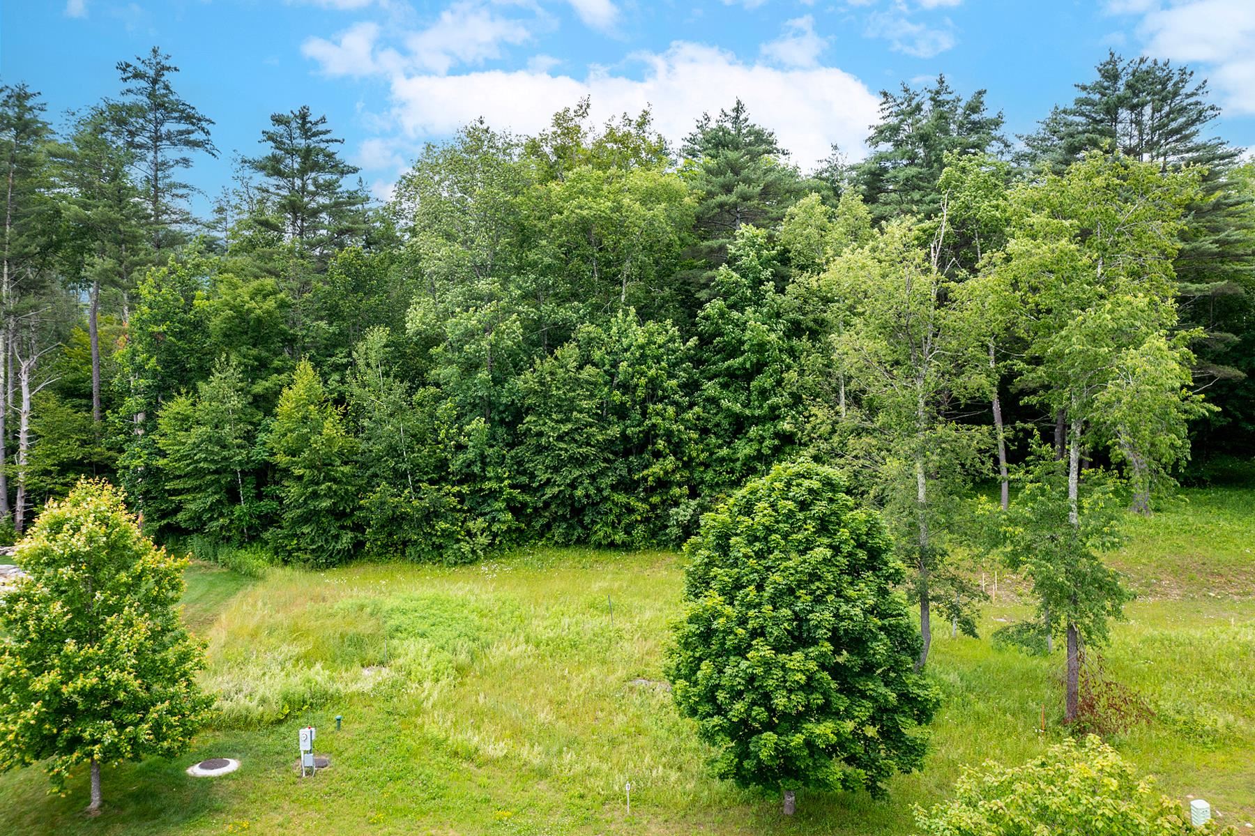 Lot 9 Partridge Hill Property Photo 4
