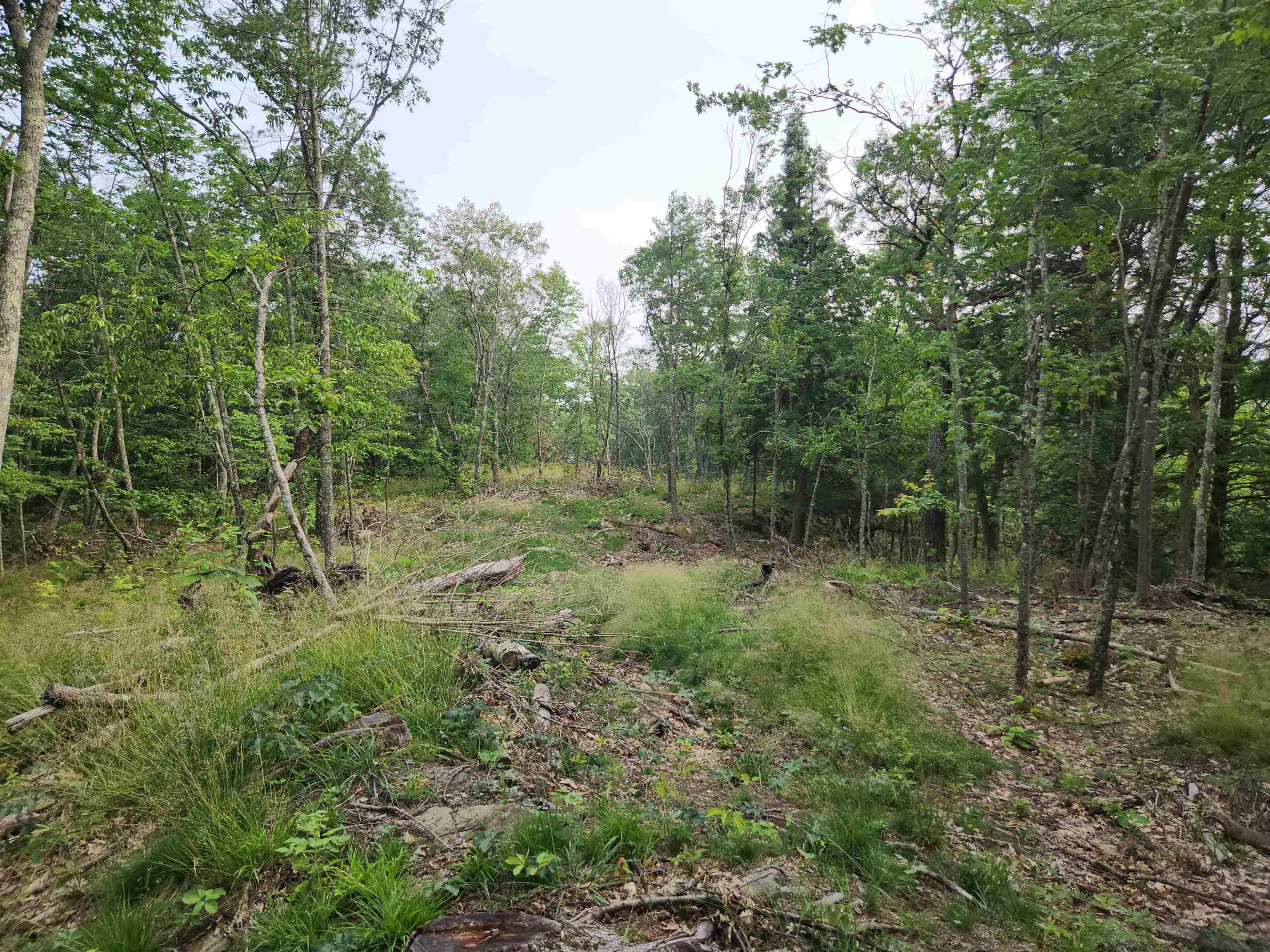 00 Monroe Road Property Photo 2