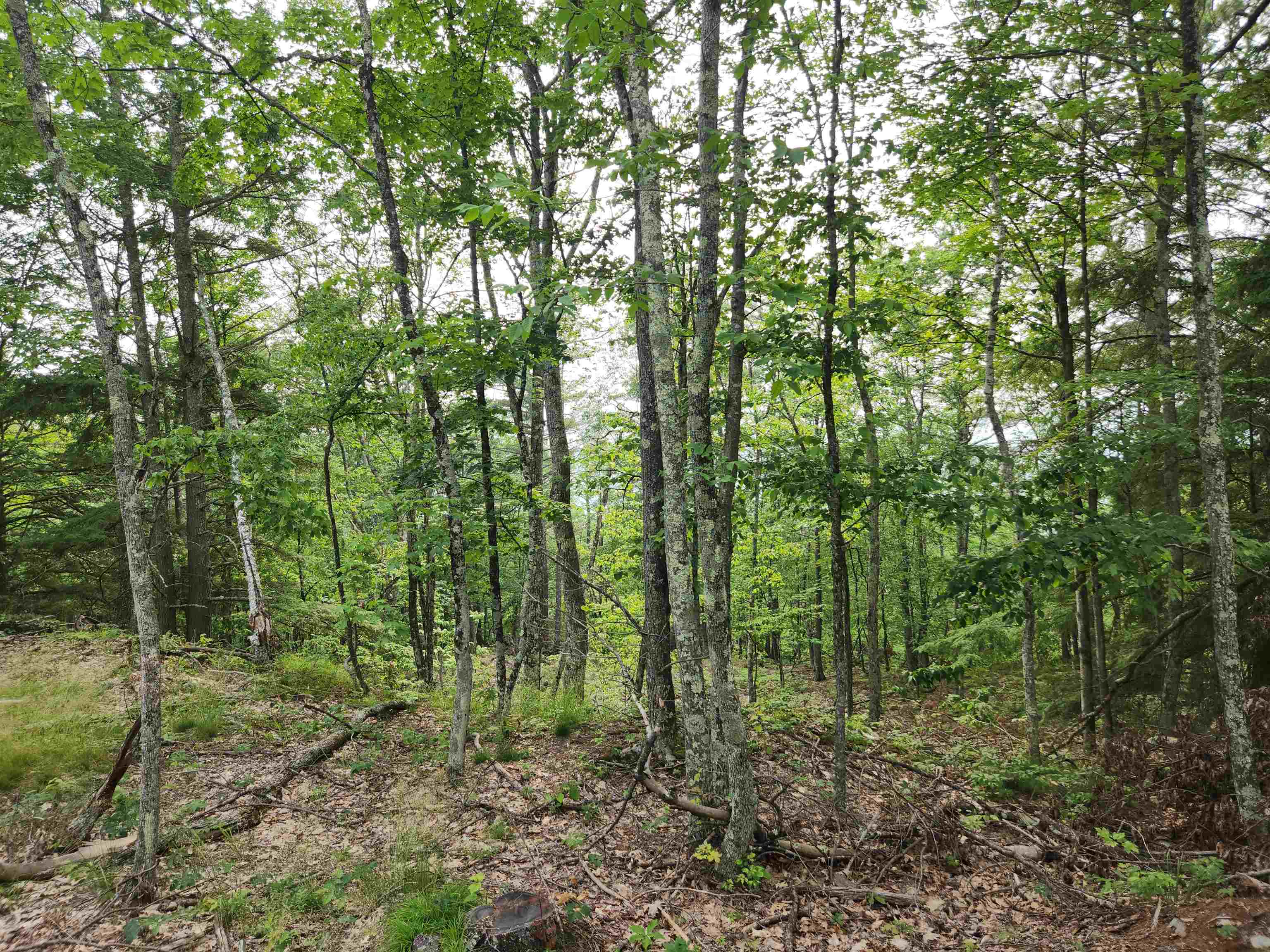 00 Monroe Road Property Photo 3