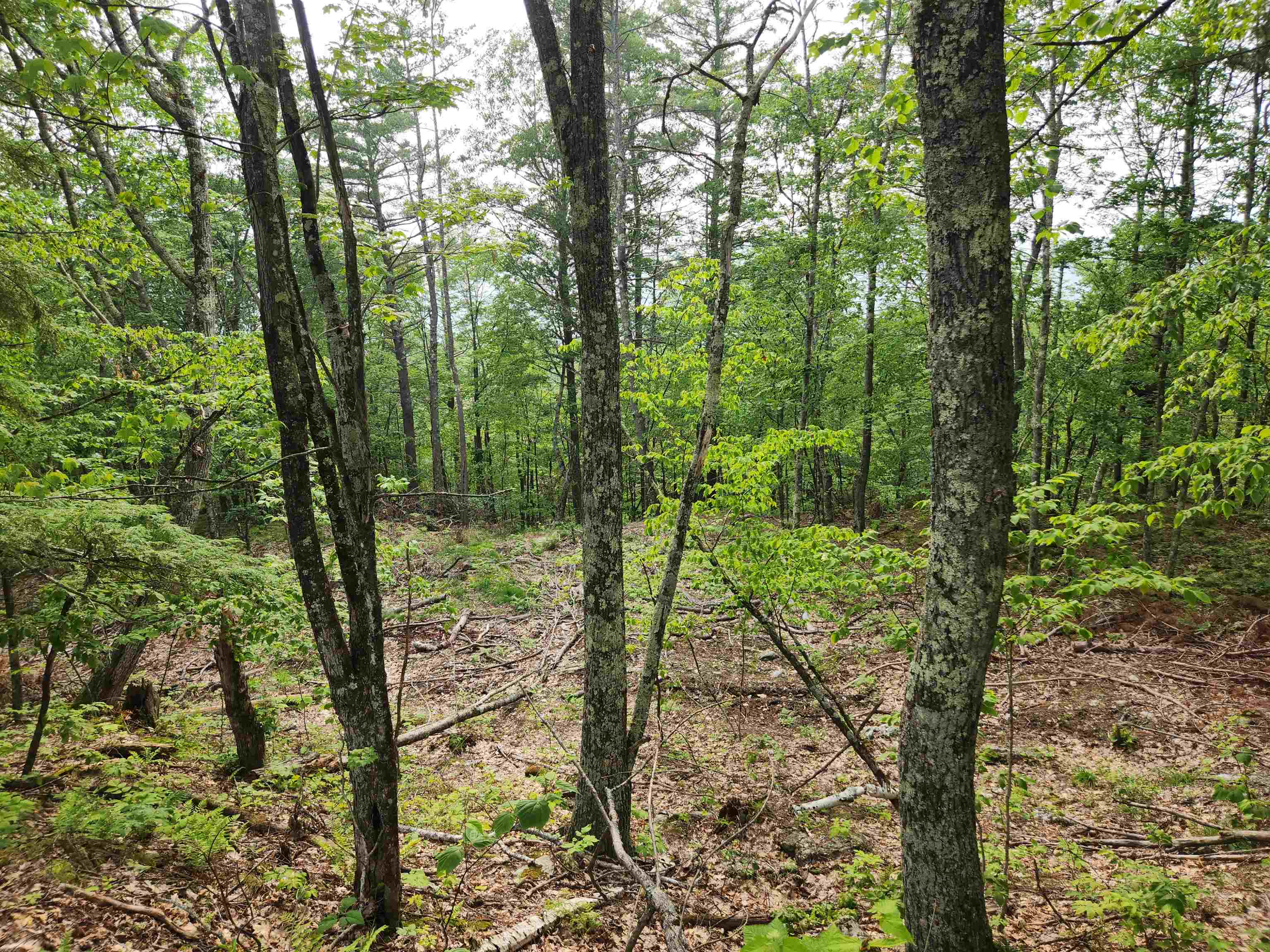 00 Monroe Road Property Photo 12