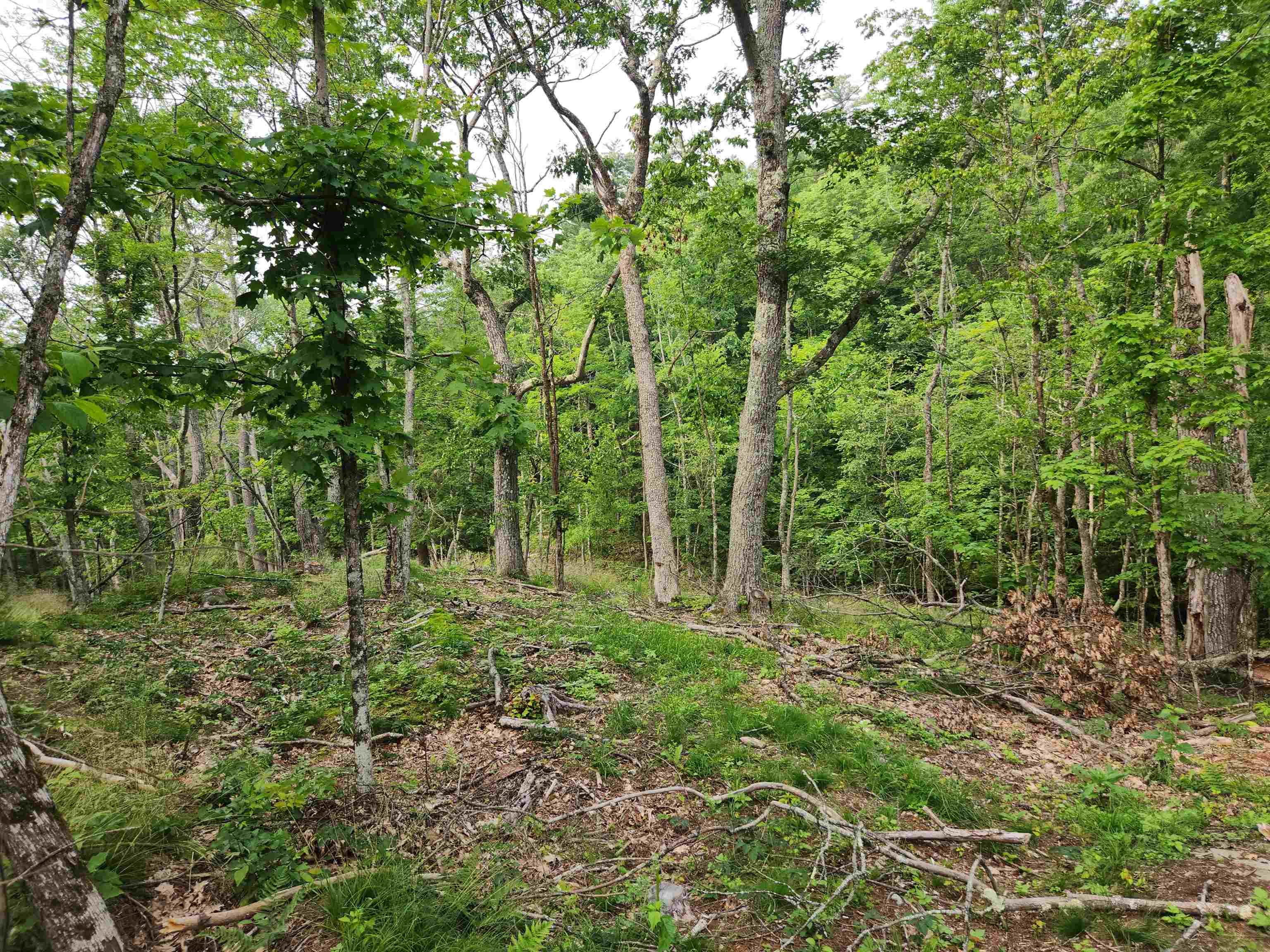00 Monroe Road Property Photo 13