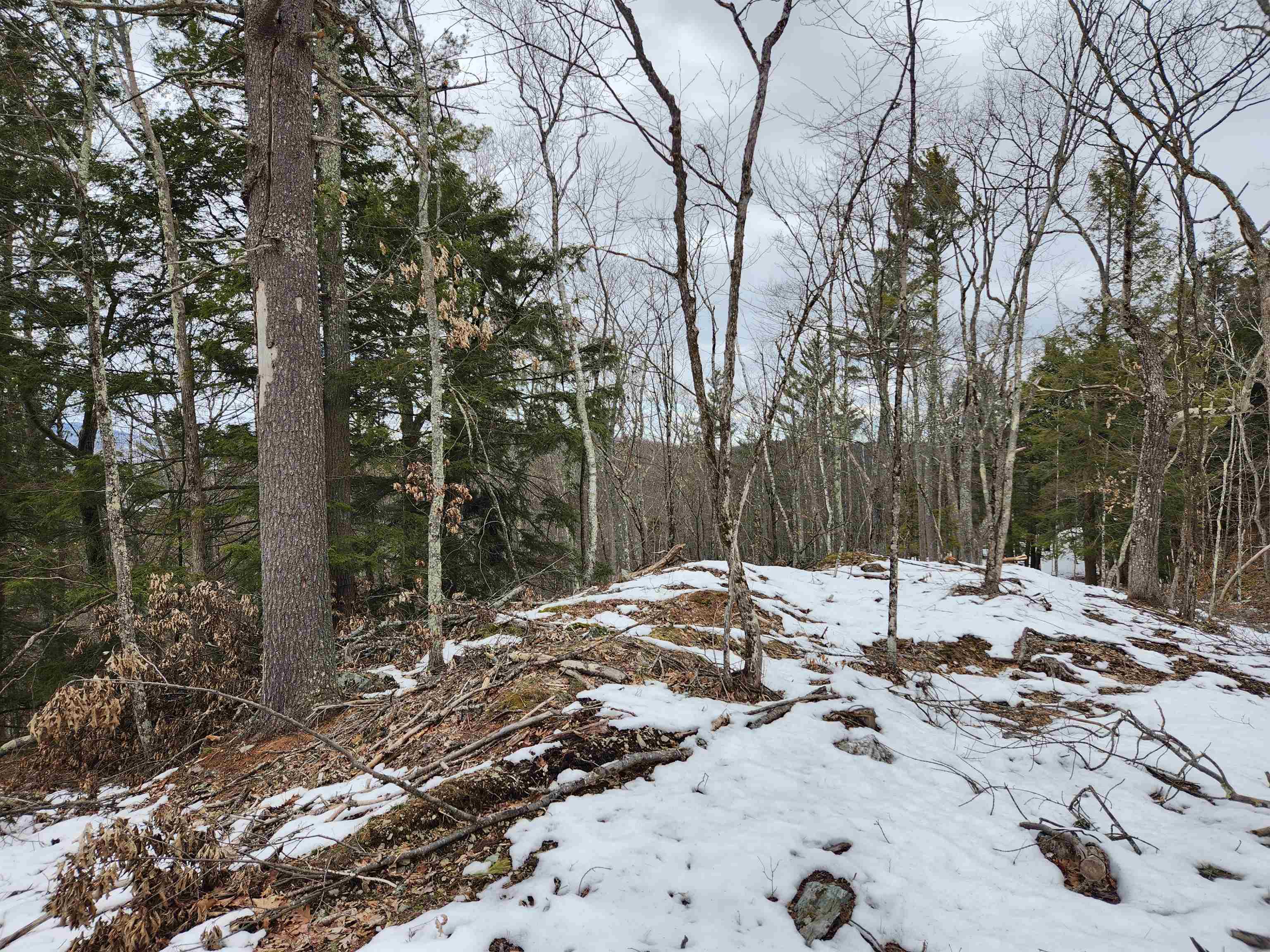 00 Monroe Road Property Photo 15