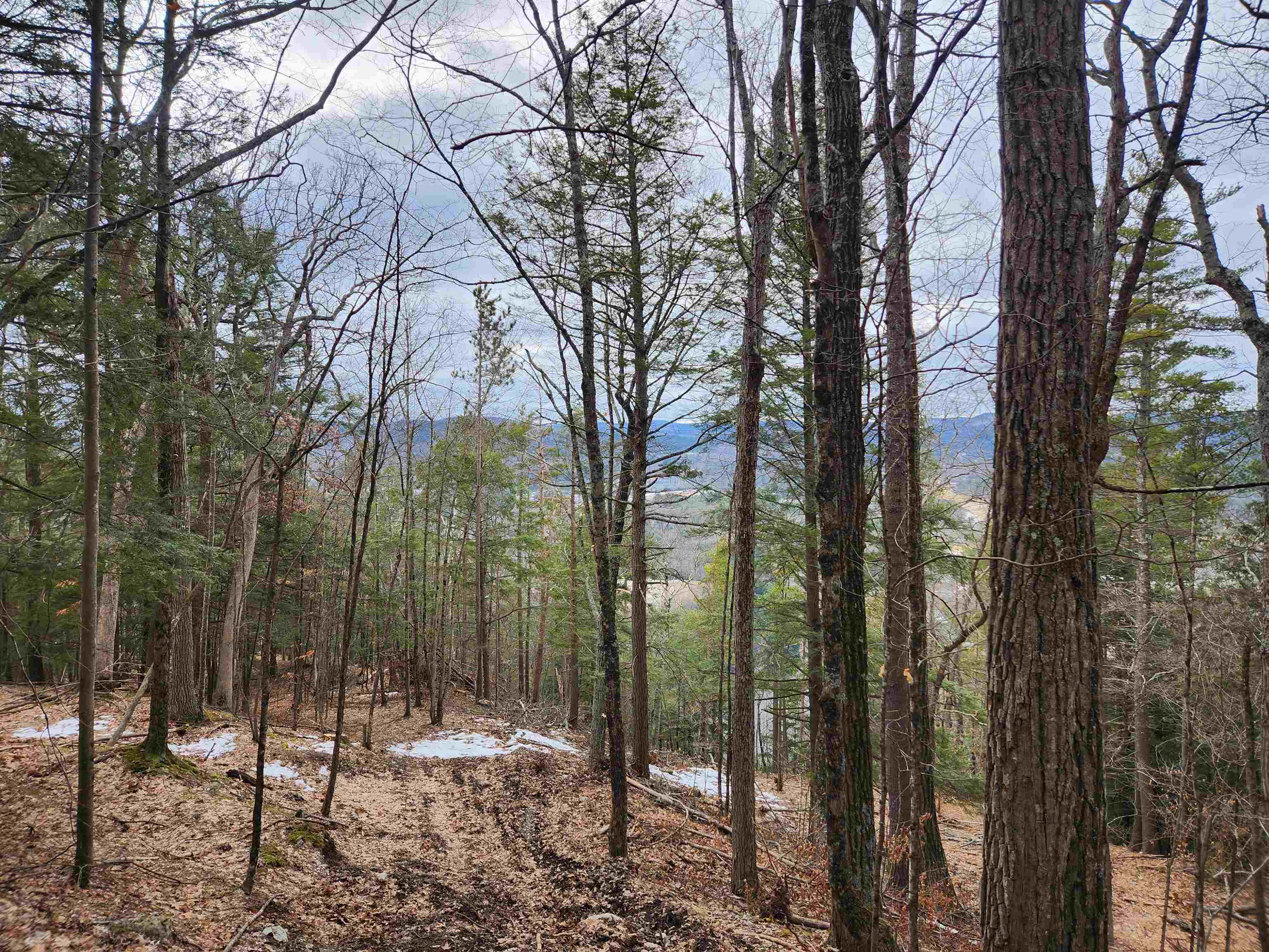 00 Monroe Road Property Photo 18