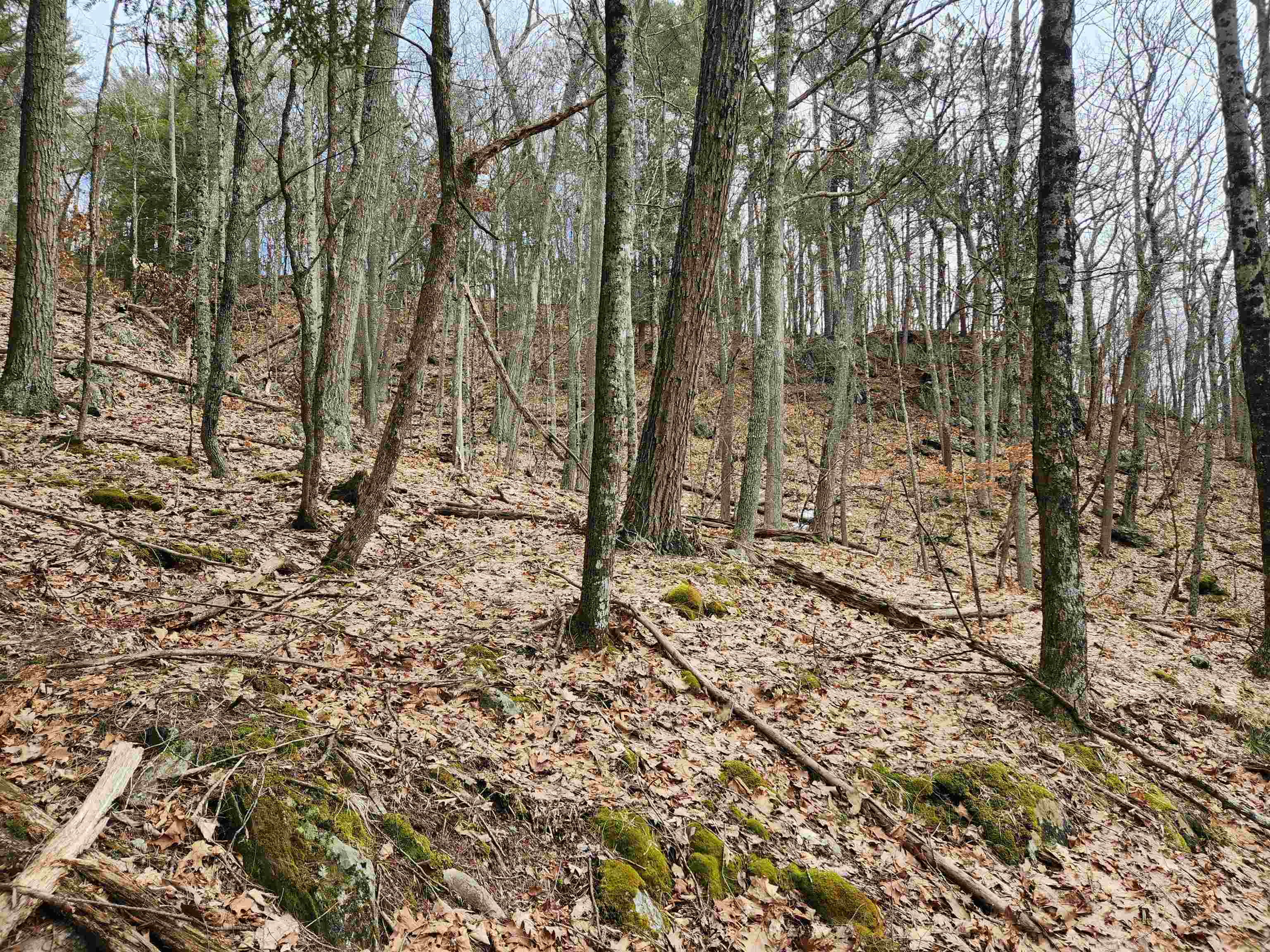 00 Monroe Road Property Photo 20