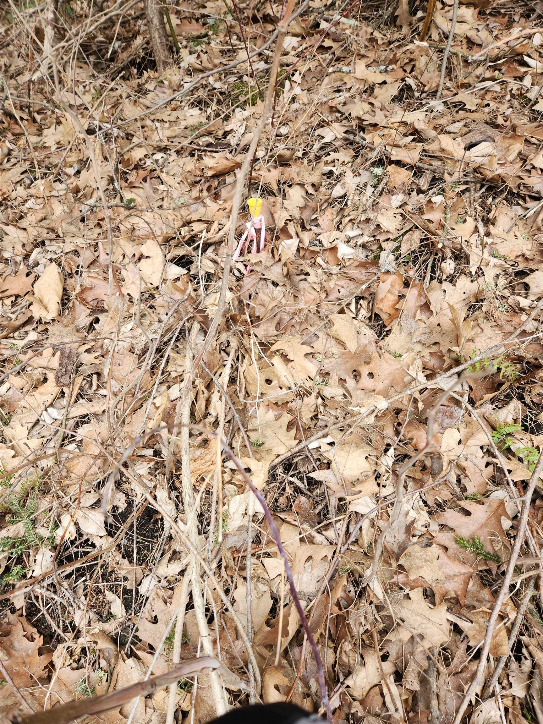 00 Monroe Road Property Photo 21