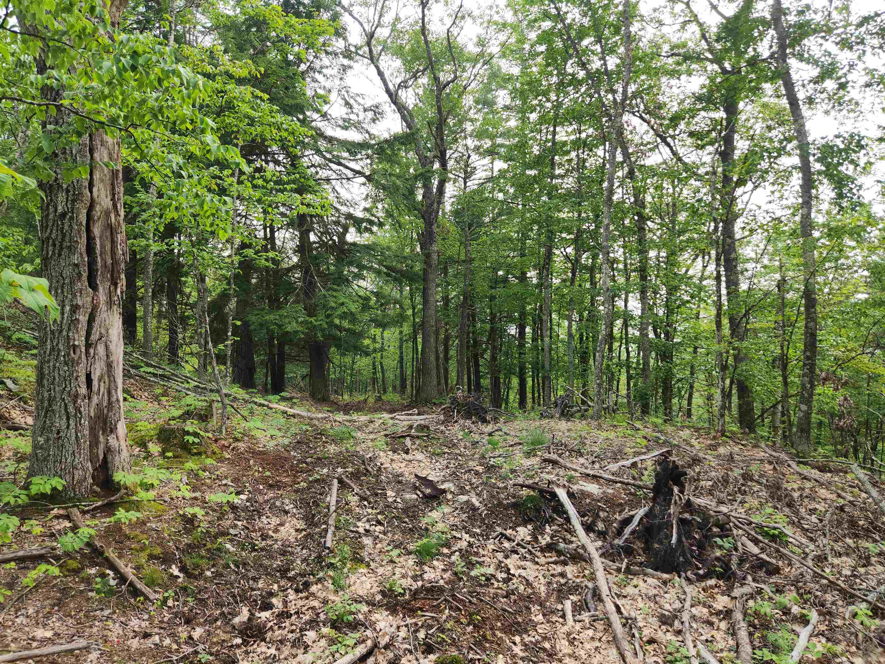 00 Monroe Road Property Photo 25