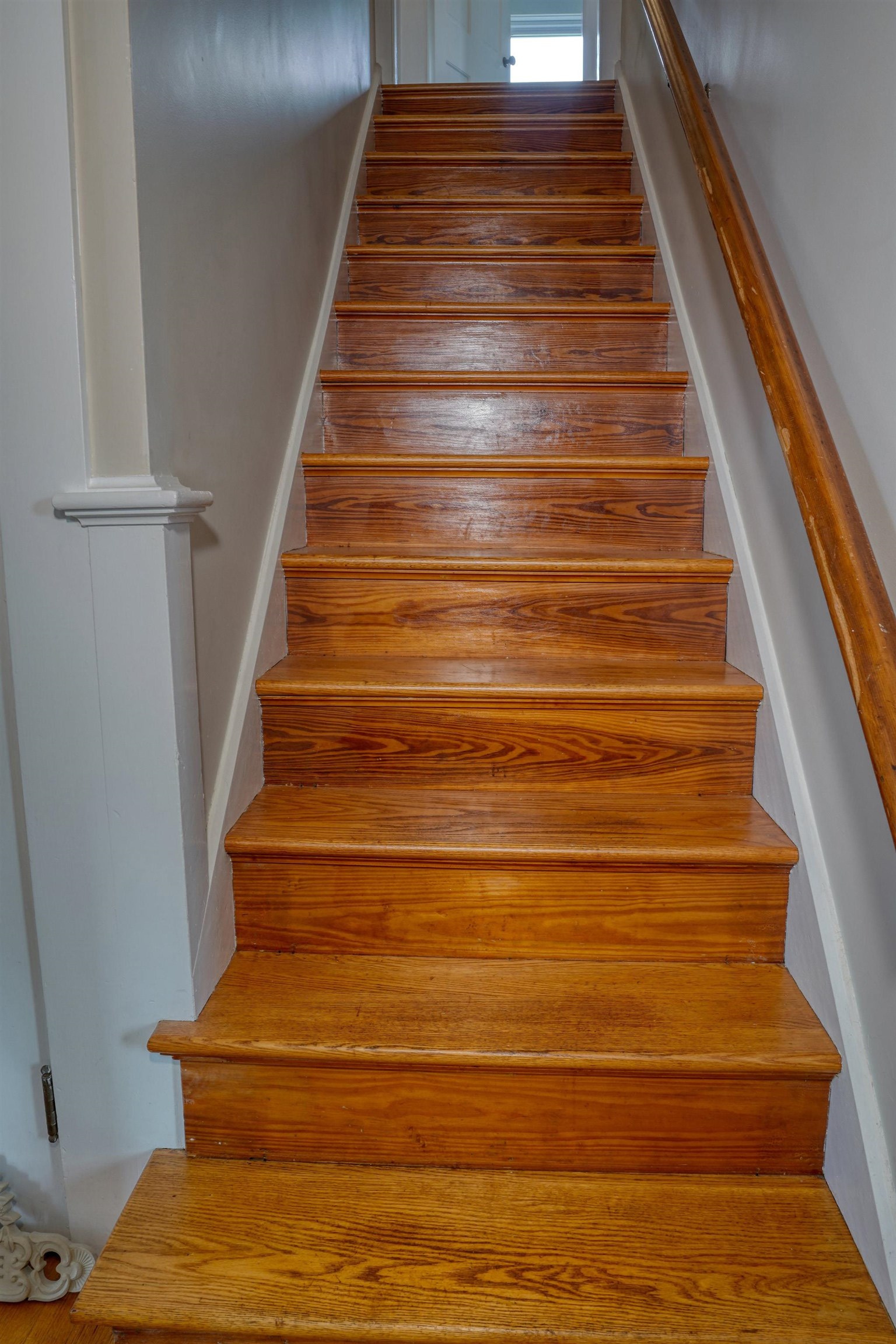 9 Webster Street Property Photo 20