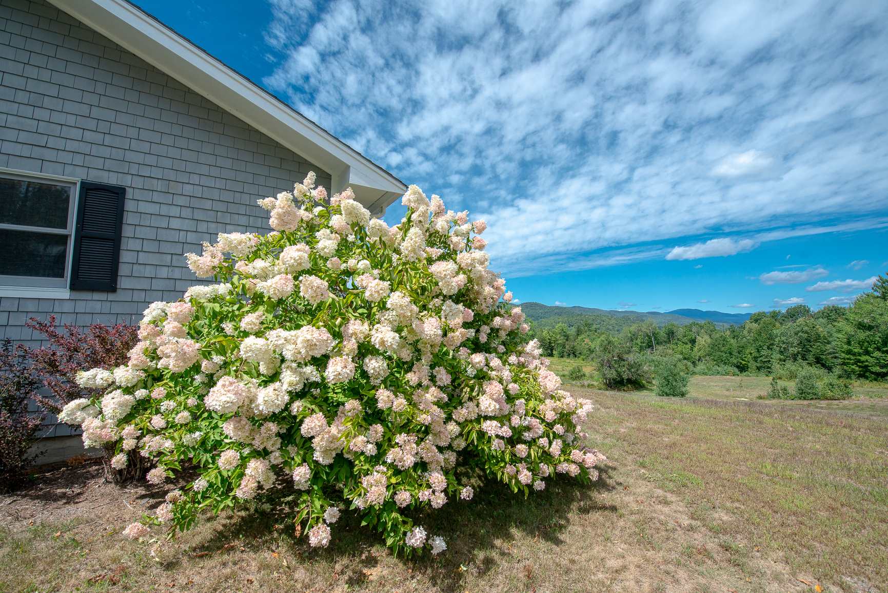 2371 Nh Route 175 Property Photo 1