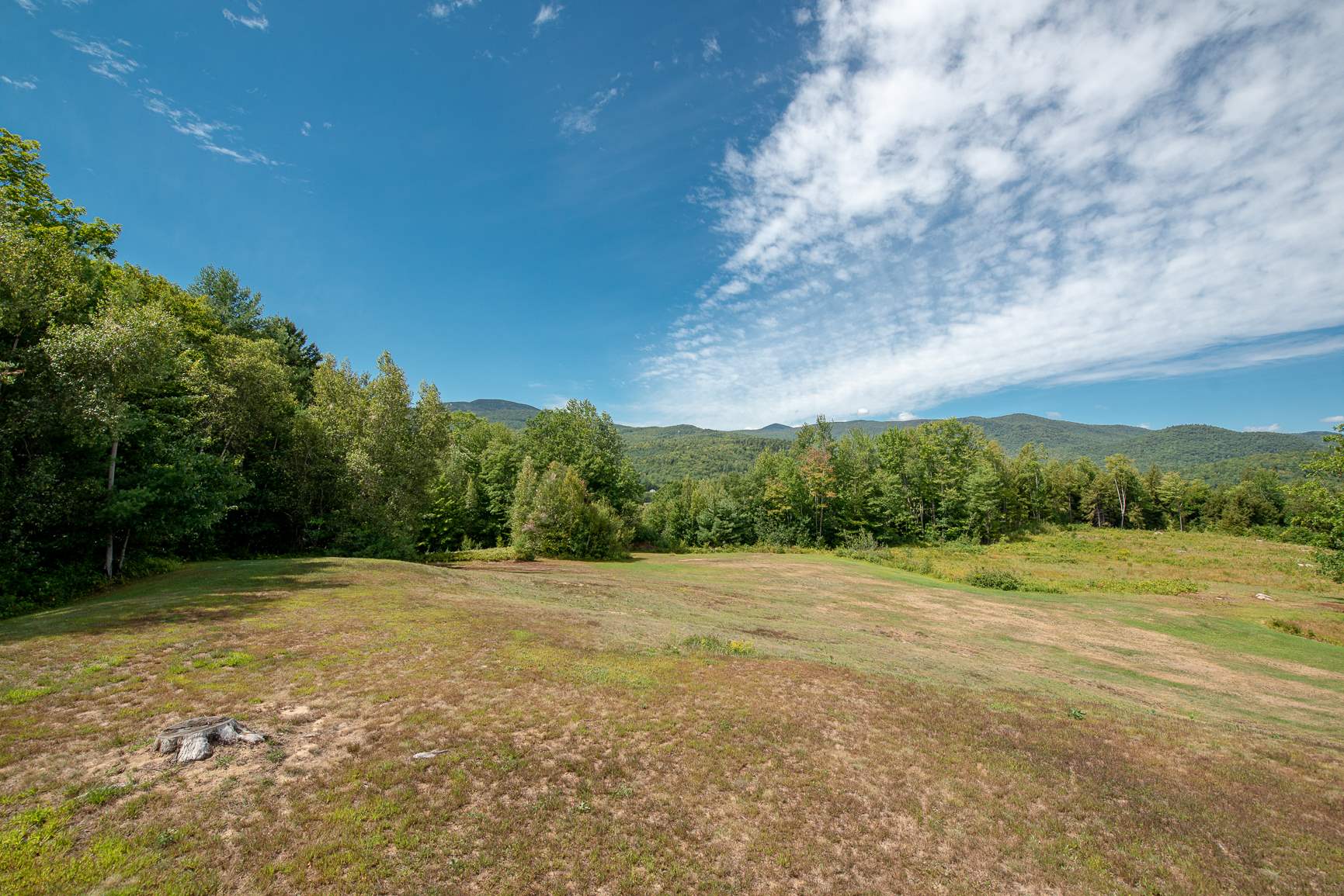 2371 Nh Route 175 Property Photo 7