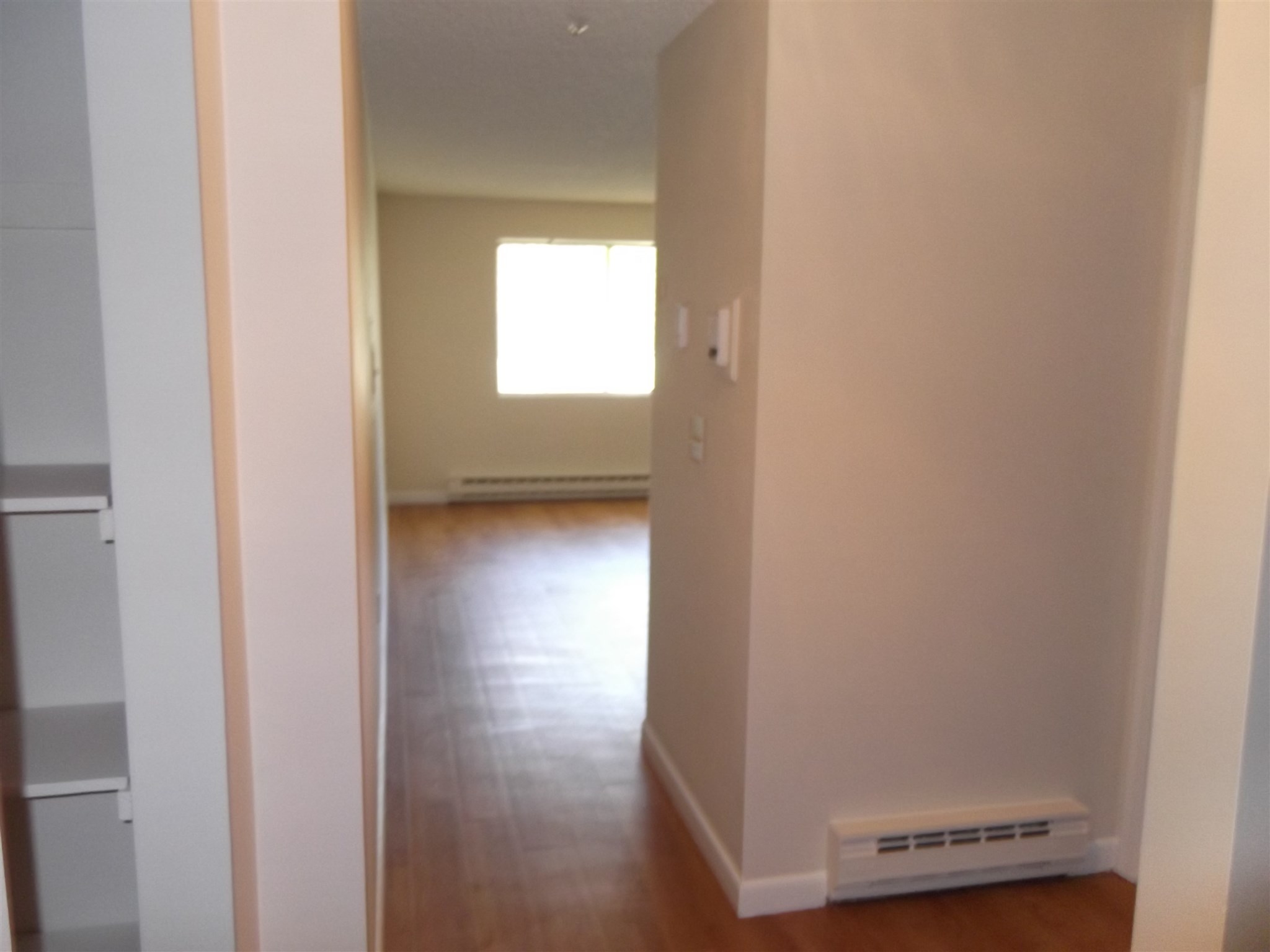 99 Powers Street Property Photo 32