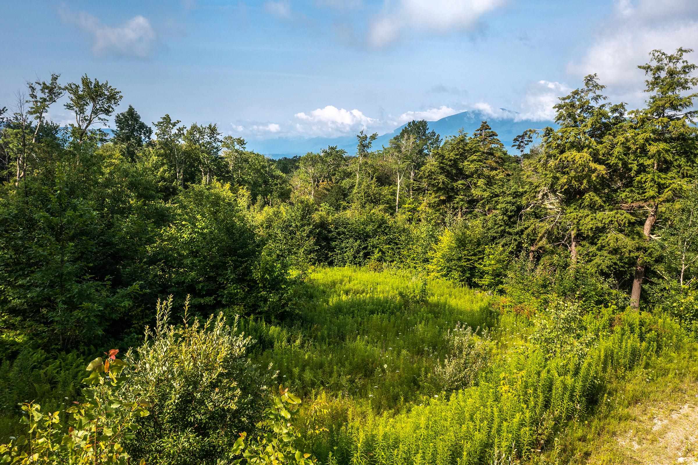 Lot 3 Route 11/30 Property Photo 6
