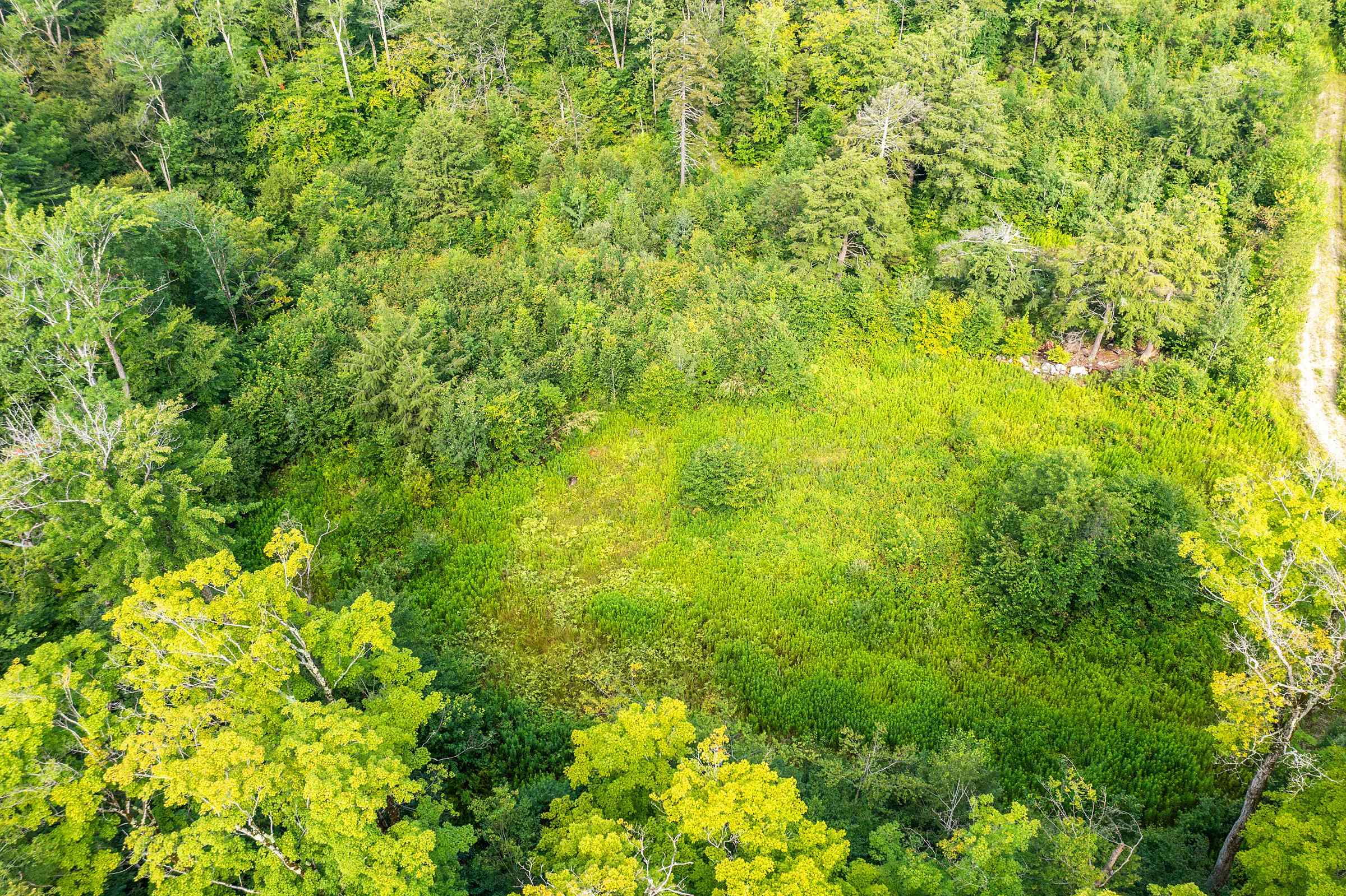 Lot 3 Route 11/30 Property Photo 13
