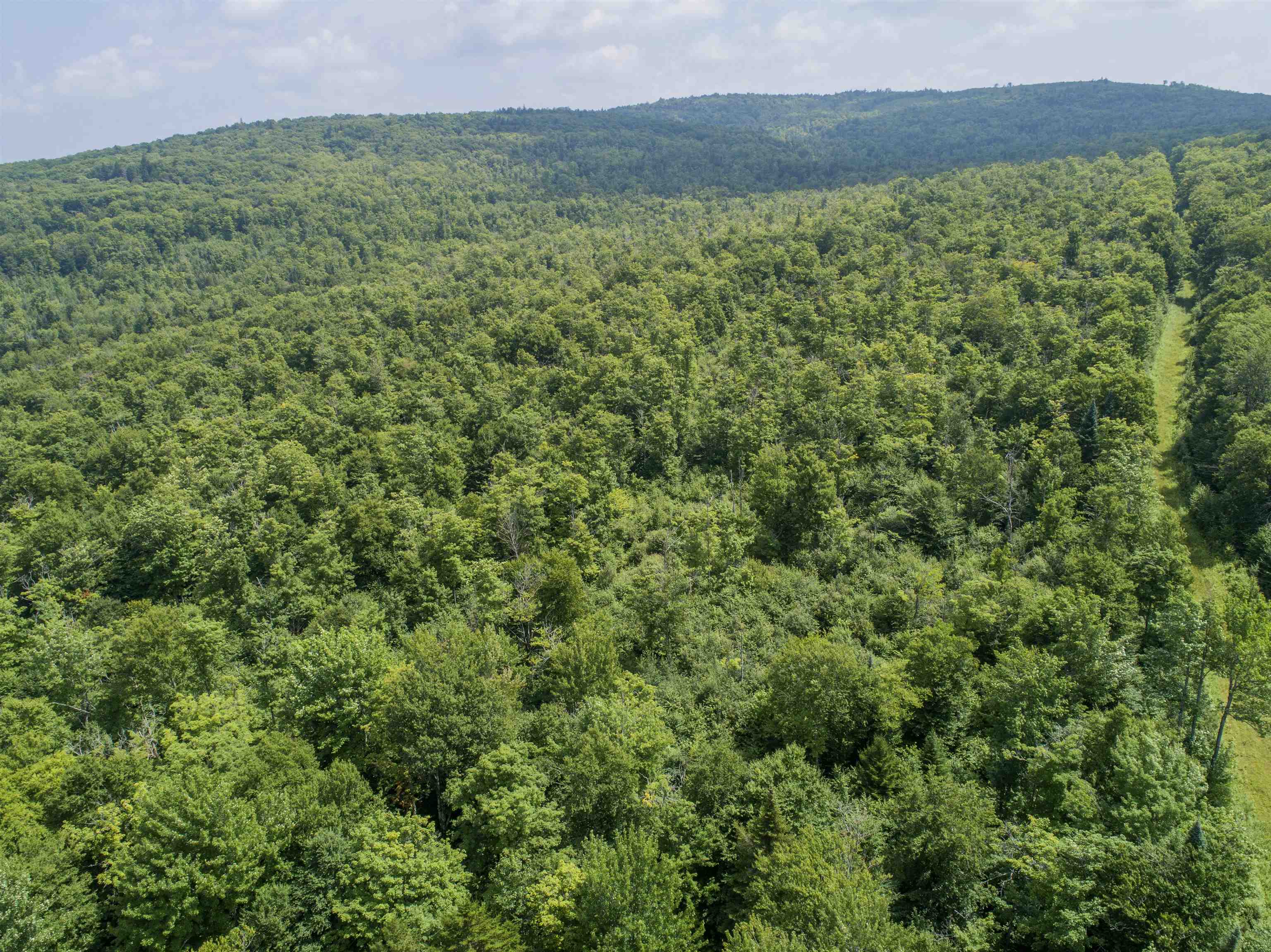 Lot 16 Deadwater Road Property Photo 2