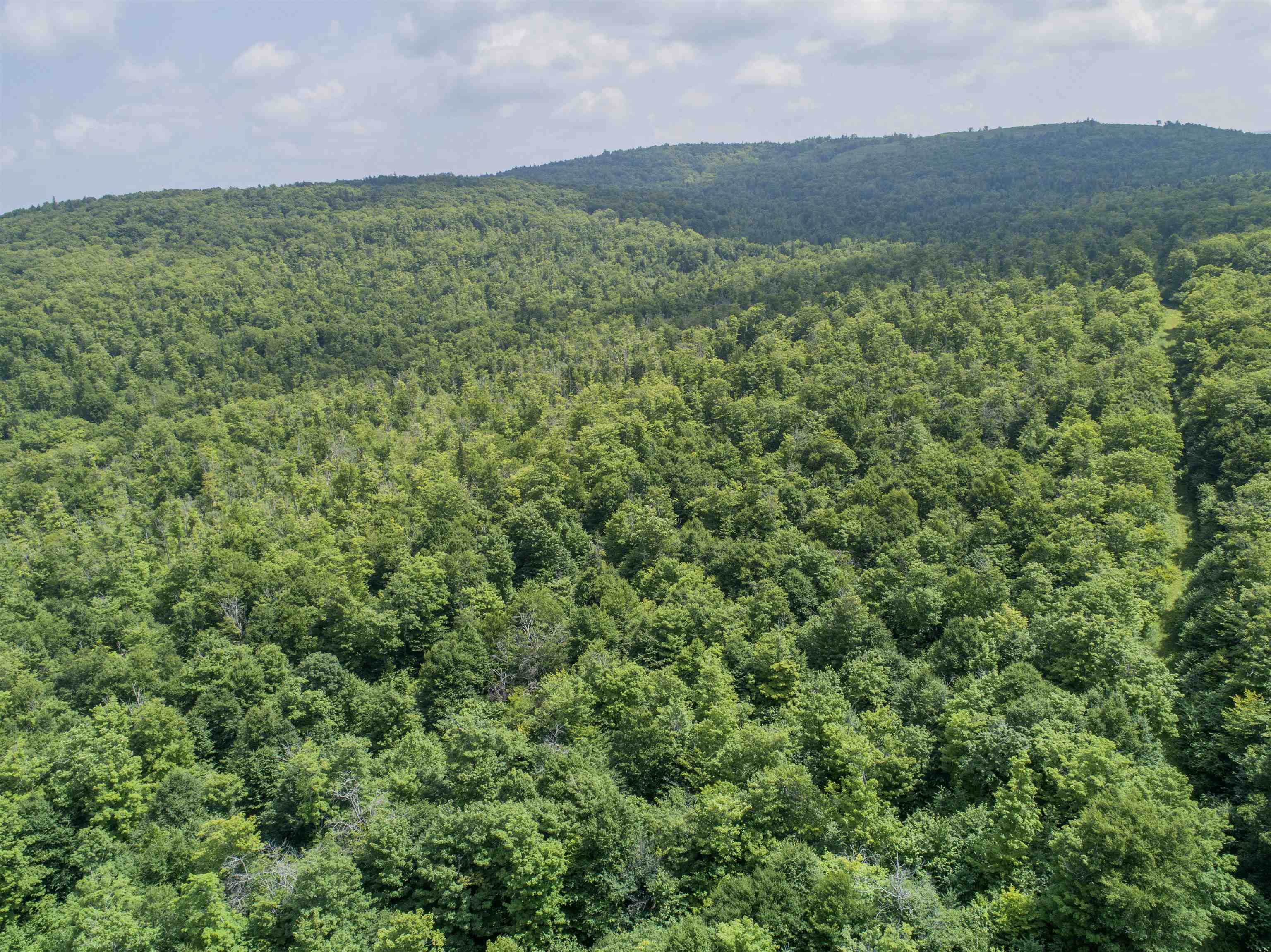 Lot 16 Deadwater Road Property Photo 4